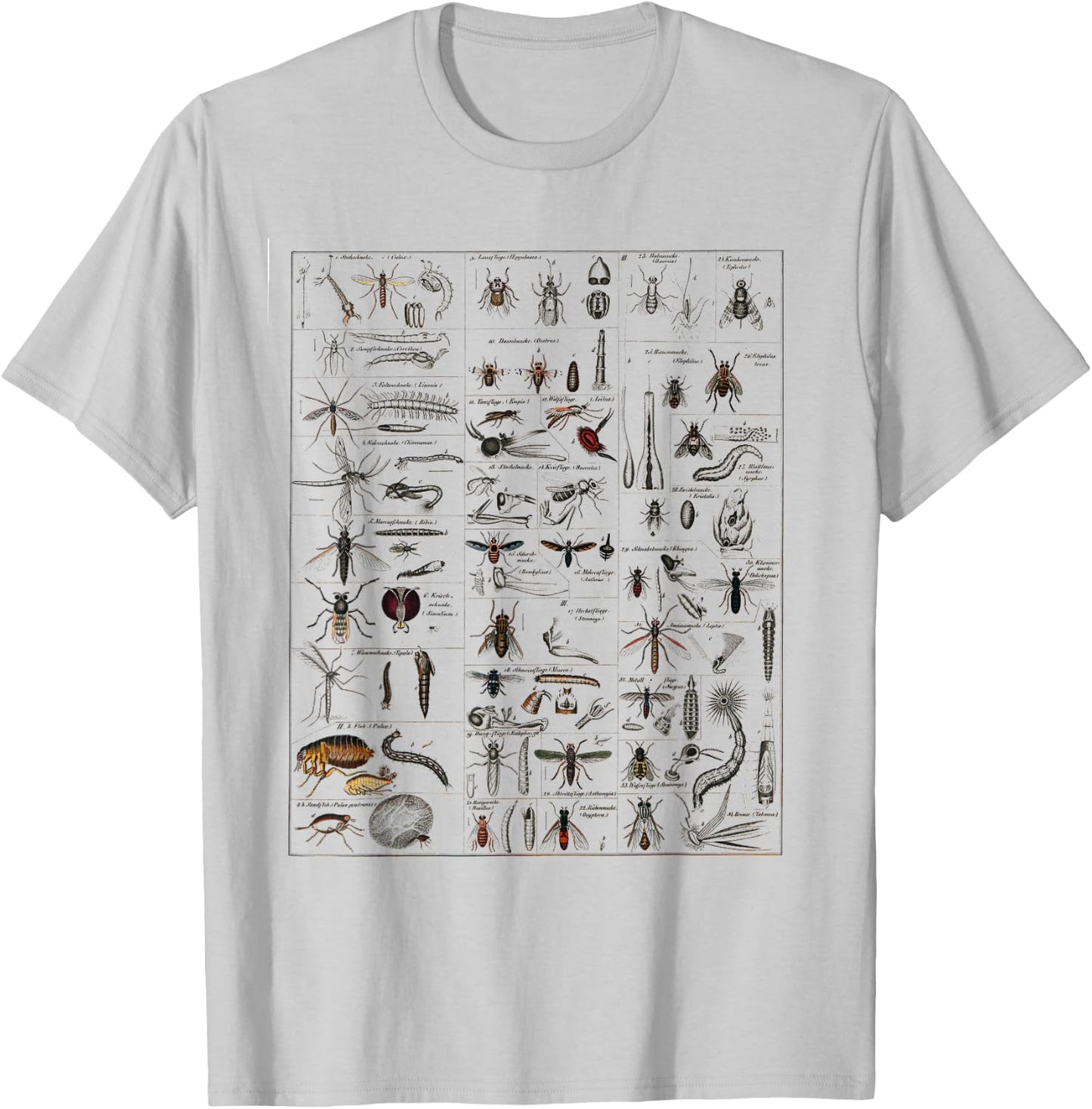 Insects Collection Species Bugs vintage Chart Entomology T-Shirt - T-Shirt | Ash