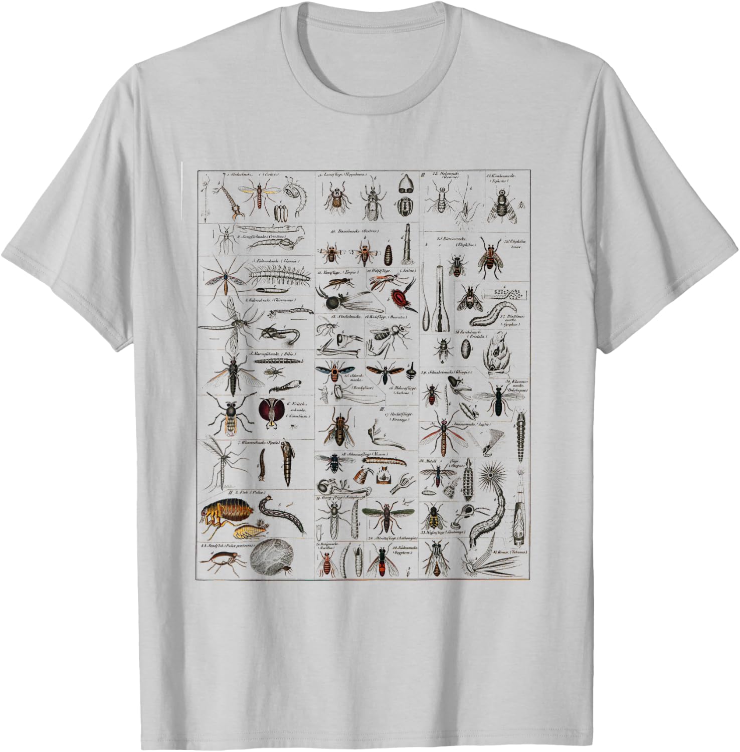 Insects Collection Species Bugs vintage Chart Entomology T-Shirt - T-Shirt | Ash