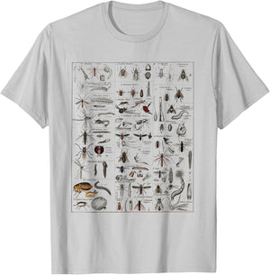 Insects Collection Species Bugs vintage Chart Entomology T-Shirt - T-Shirt | Ash