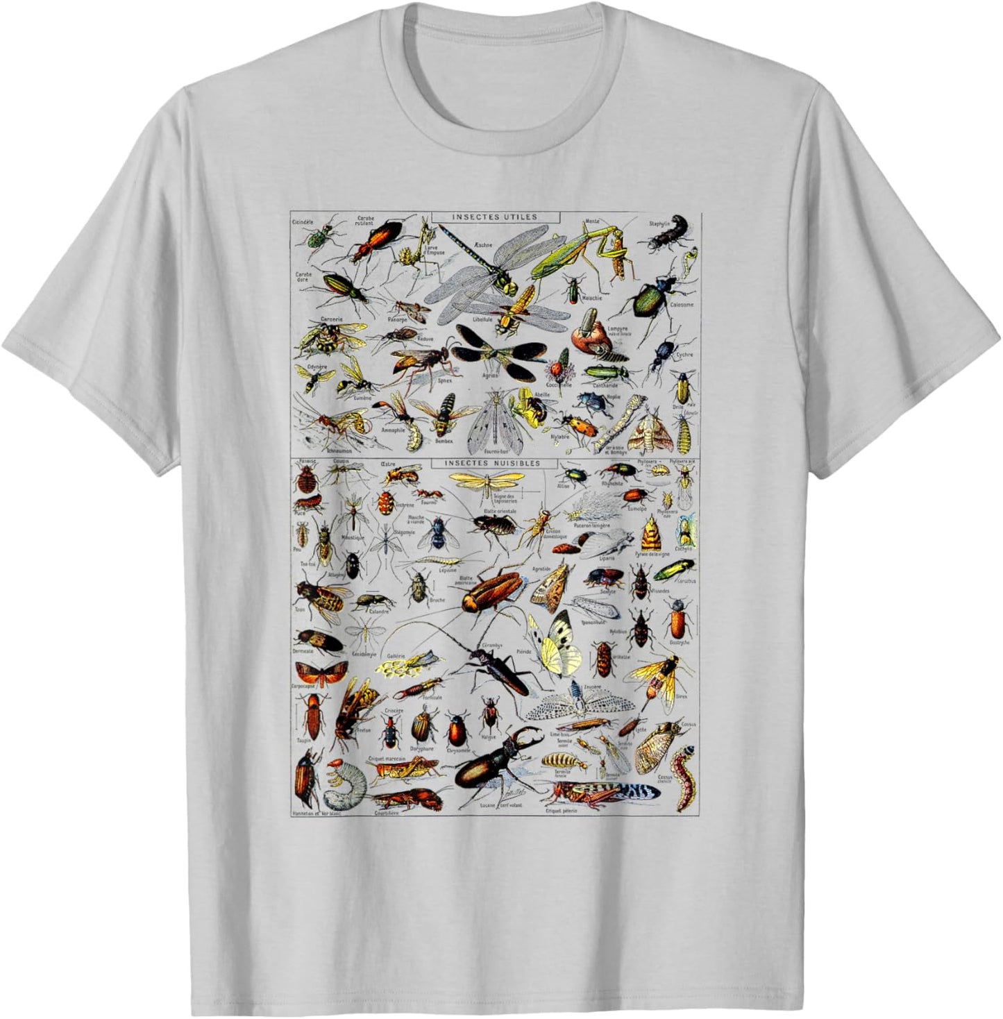 Insects Collection Species Bugs Vintage Chart Entomologie T-Shirt - T-Shirt | Ash