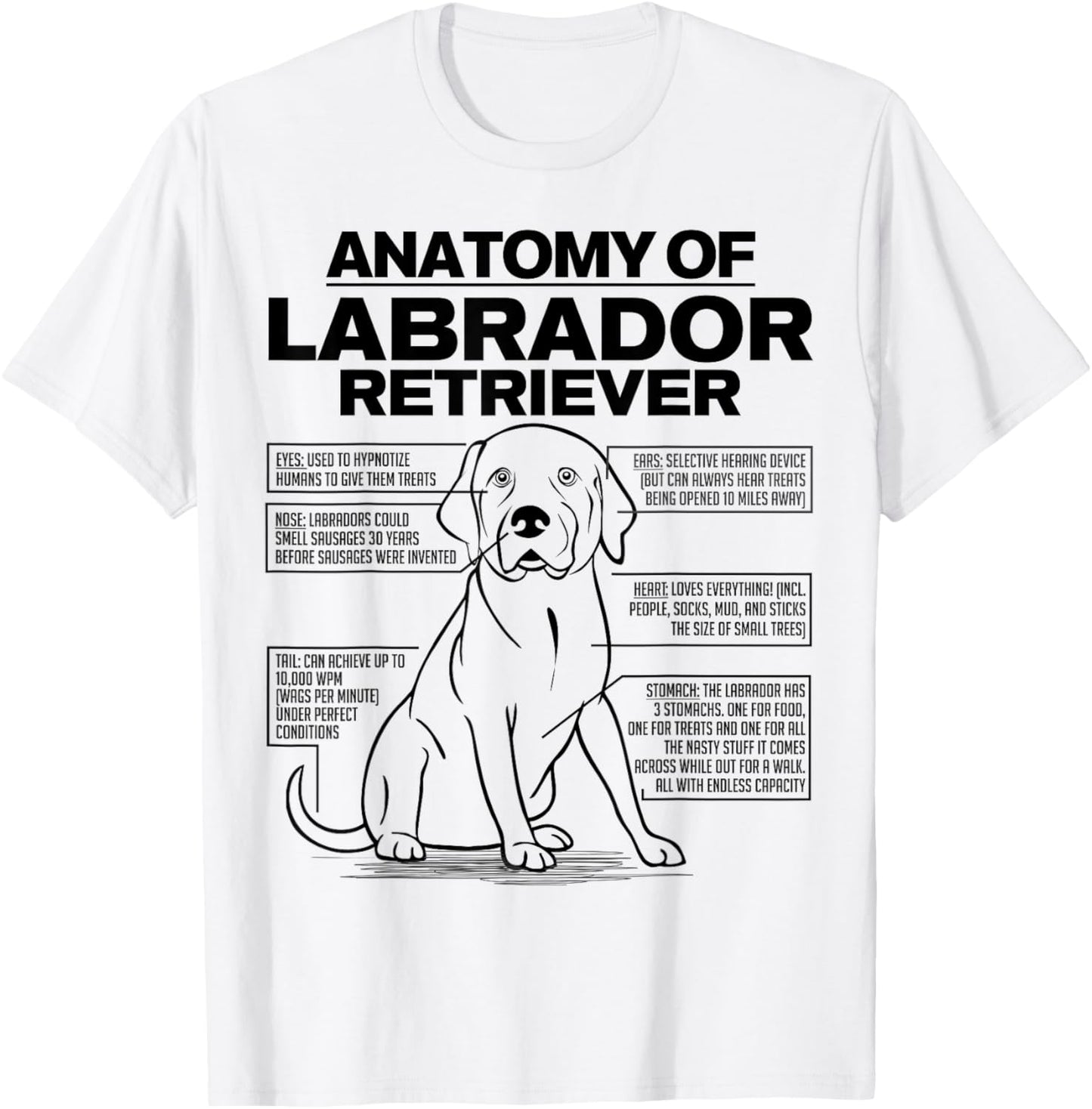 Anatomy of a Labrador Retriever Funny Dog owner gifts shirt T-Shirt - T-Shirt | White