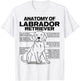 Anatomy of a Labrador Retriever Funny Dog owner gifts shirt T-Shirt - T-Shirt | White
