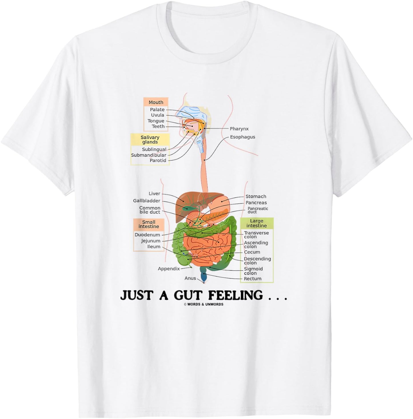 Just A Gut Feeling Digestive System Humor T-Shirt - T-Shirt | White