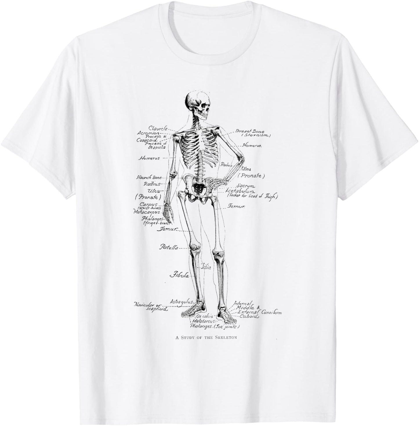 Human Skeleton Anatomical Skeleton bones T-Shirt - T-Shirt | White