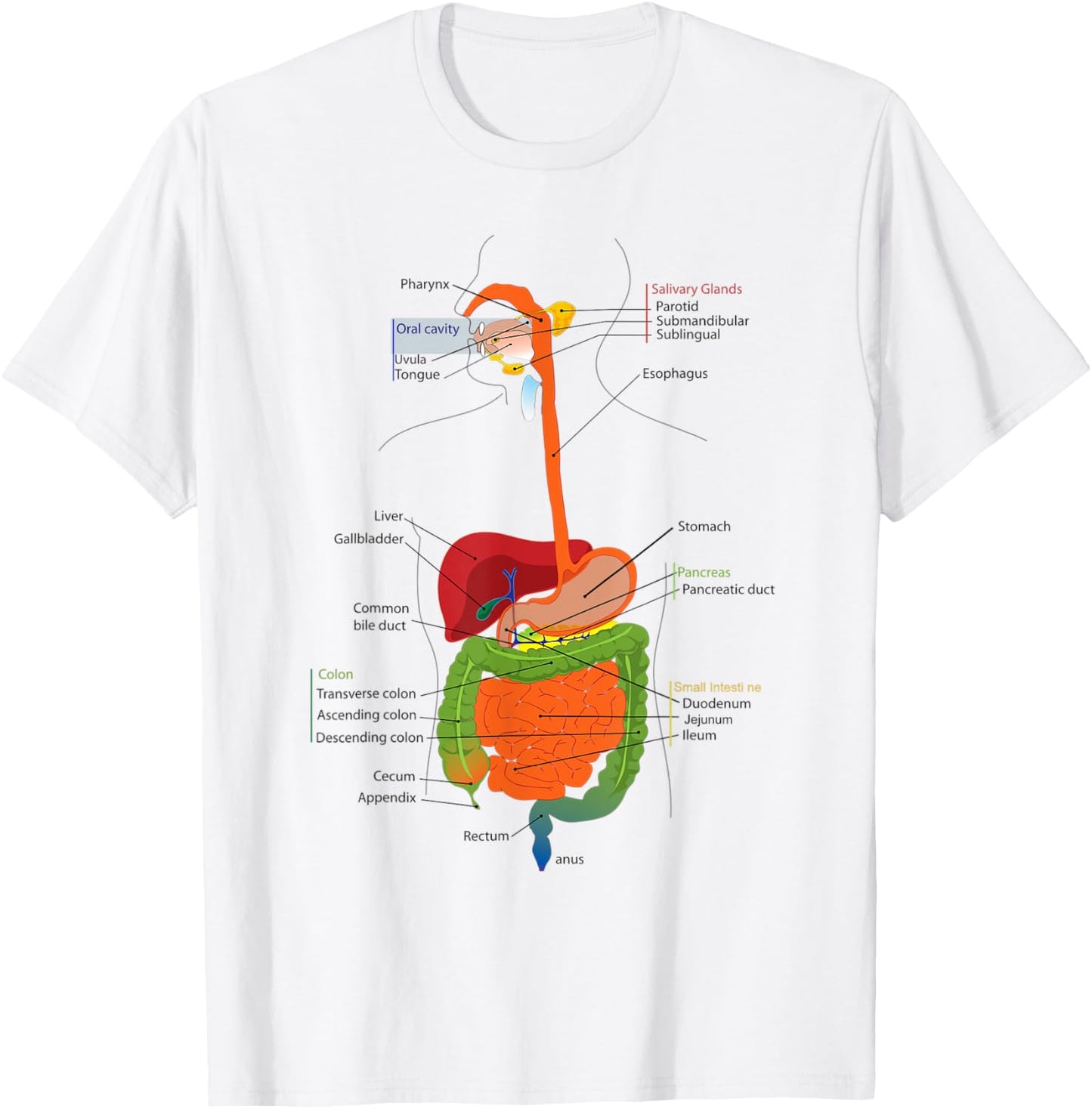 Human Body Digestive System Gastrointestinal Tract Anatomy T-Shirt - T-Shirt | White