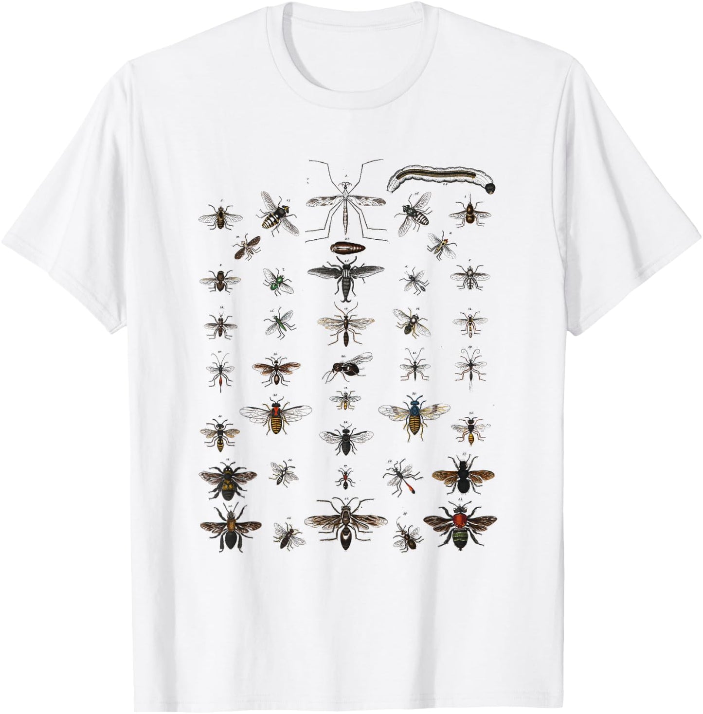 Insects Collection Species Bugs vintage Chart Entomology T-Shirt - T-Shirt | White