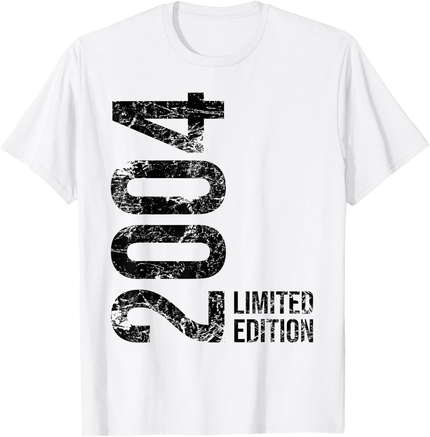 19th Birthday Boy Girl 19 Years 2004 Gift , White T-Shirt - T-Shirt | White