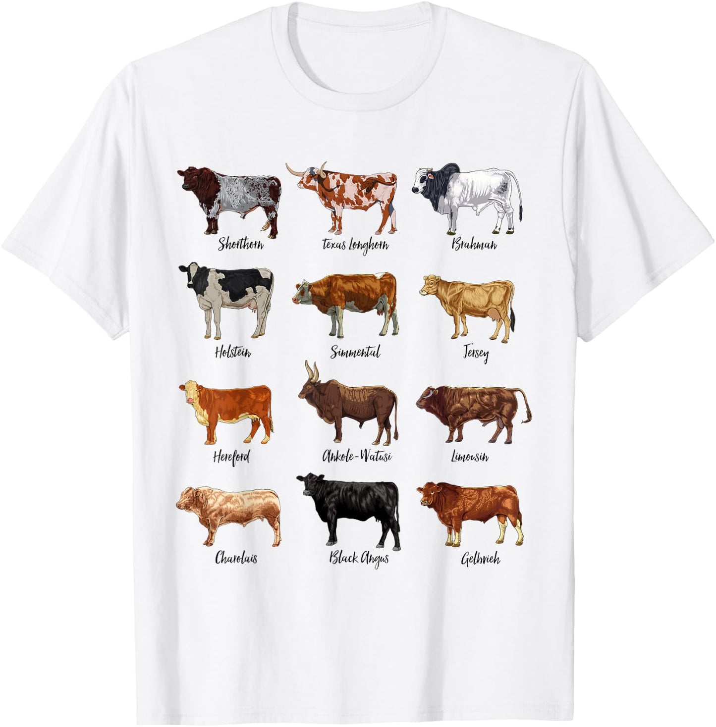 Cow drawings - types of cattle T-Shirt - T-Shirt | White