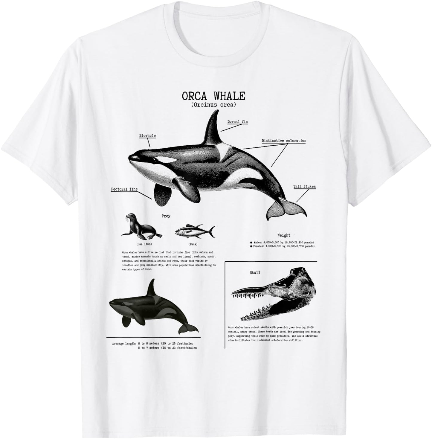 Orca Whale Anatomy Wall Lover Marine Biologist , White T-Shirt - T-Shirt | White