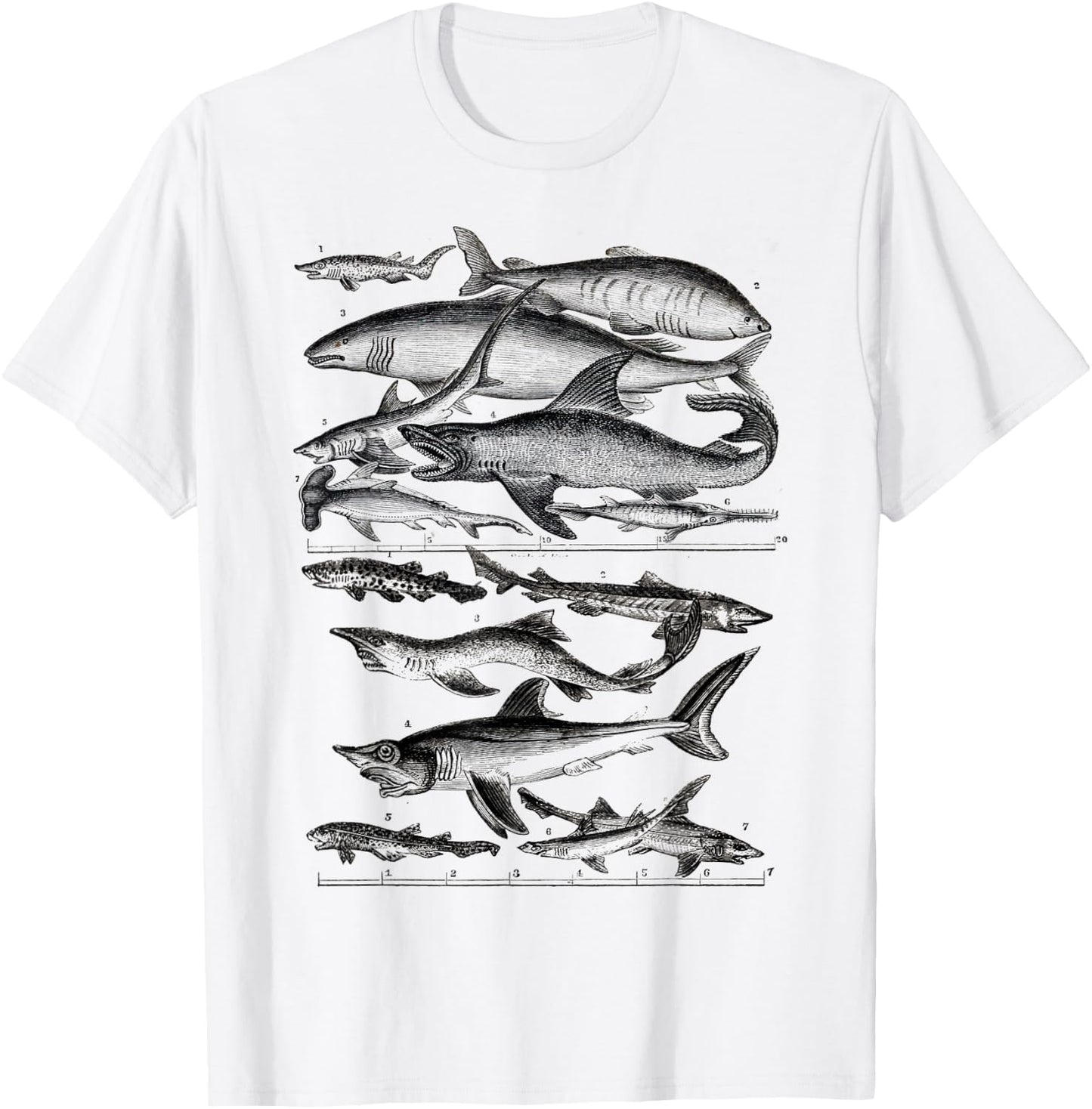 Shark Species Biology Ocean Sea Animals White Shark T-Shirt - T-Shirt | White