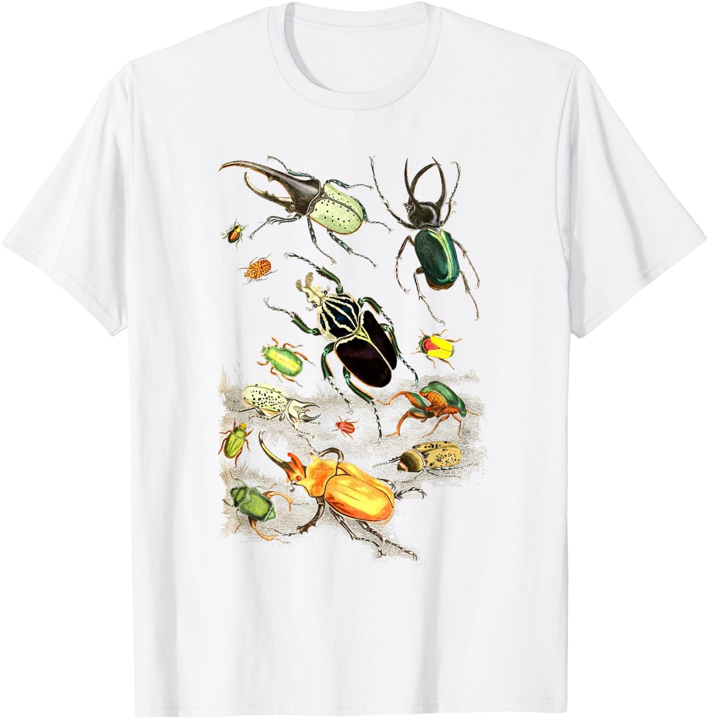 Insects Collection Species Bugs vintage Chart Entomology T-Shirt - T-Shirt | White