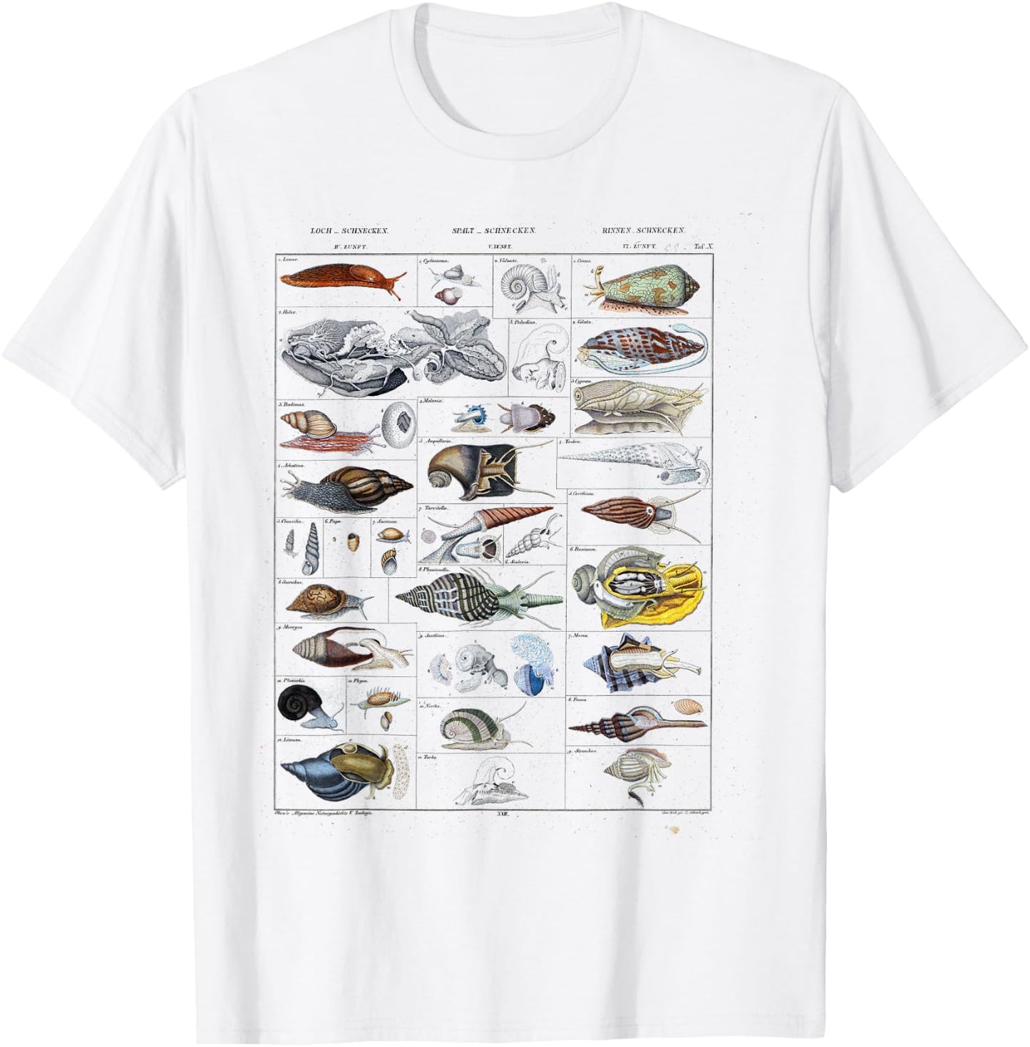 Oceanography Ocean Zoology biologists sailing Mollusk T-Shirt - T-Shirt | White