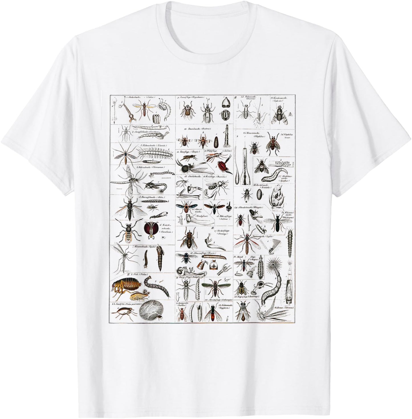 Insects Collection Species Bugs vintage Chart Entomology T-Shirt - T-Shirt | White