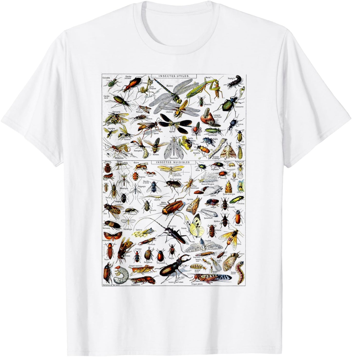 Insects Collection Species Bugs Vintage Chart Entomologie T-Shirt - T-Shirt | White