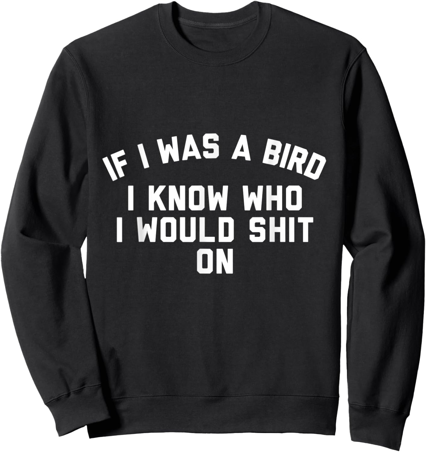 If I Was a Bird I Know Who I Would Shit On Sweatshirt - Sweatshirt | Black