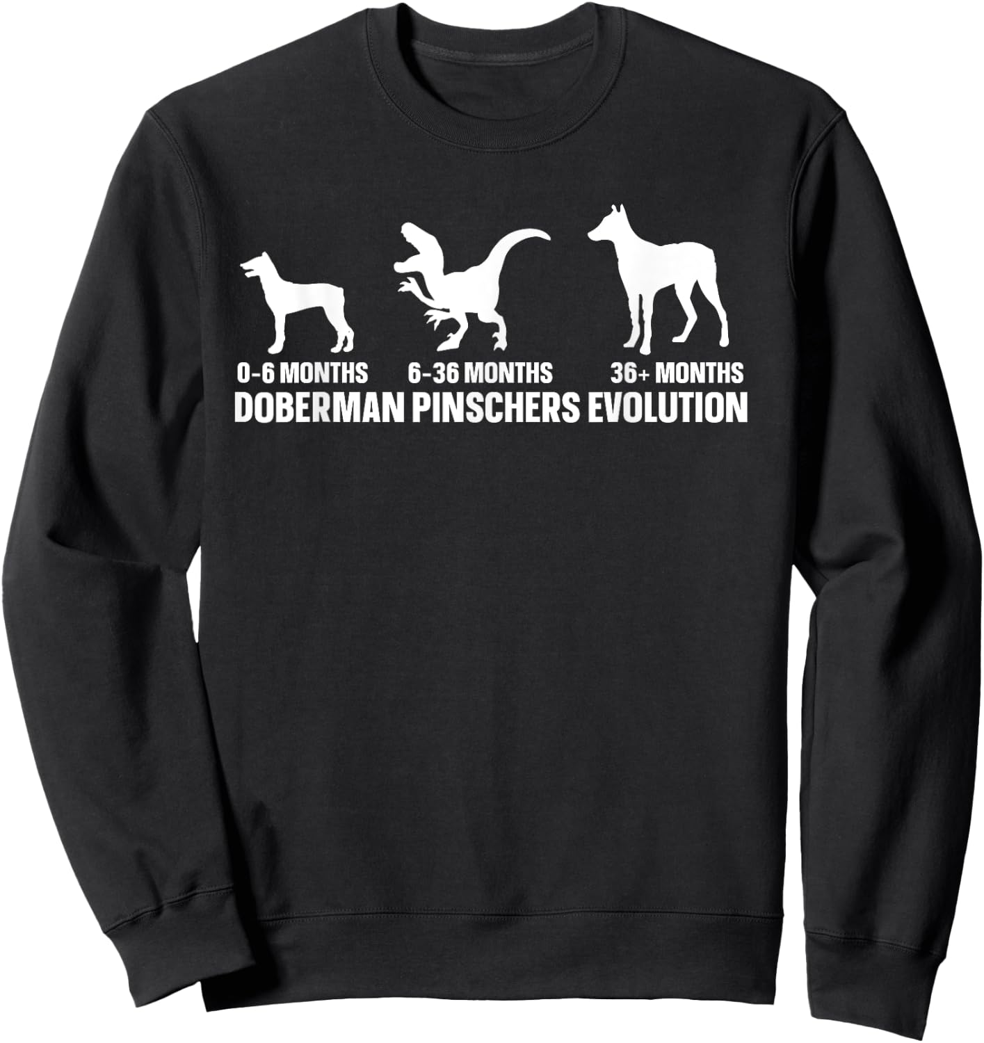 Dog Lover Quote for a Doberman Pinscher Owner Sweatshirt - Sweatshirt | Black