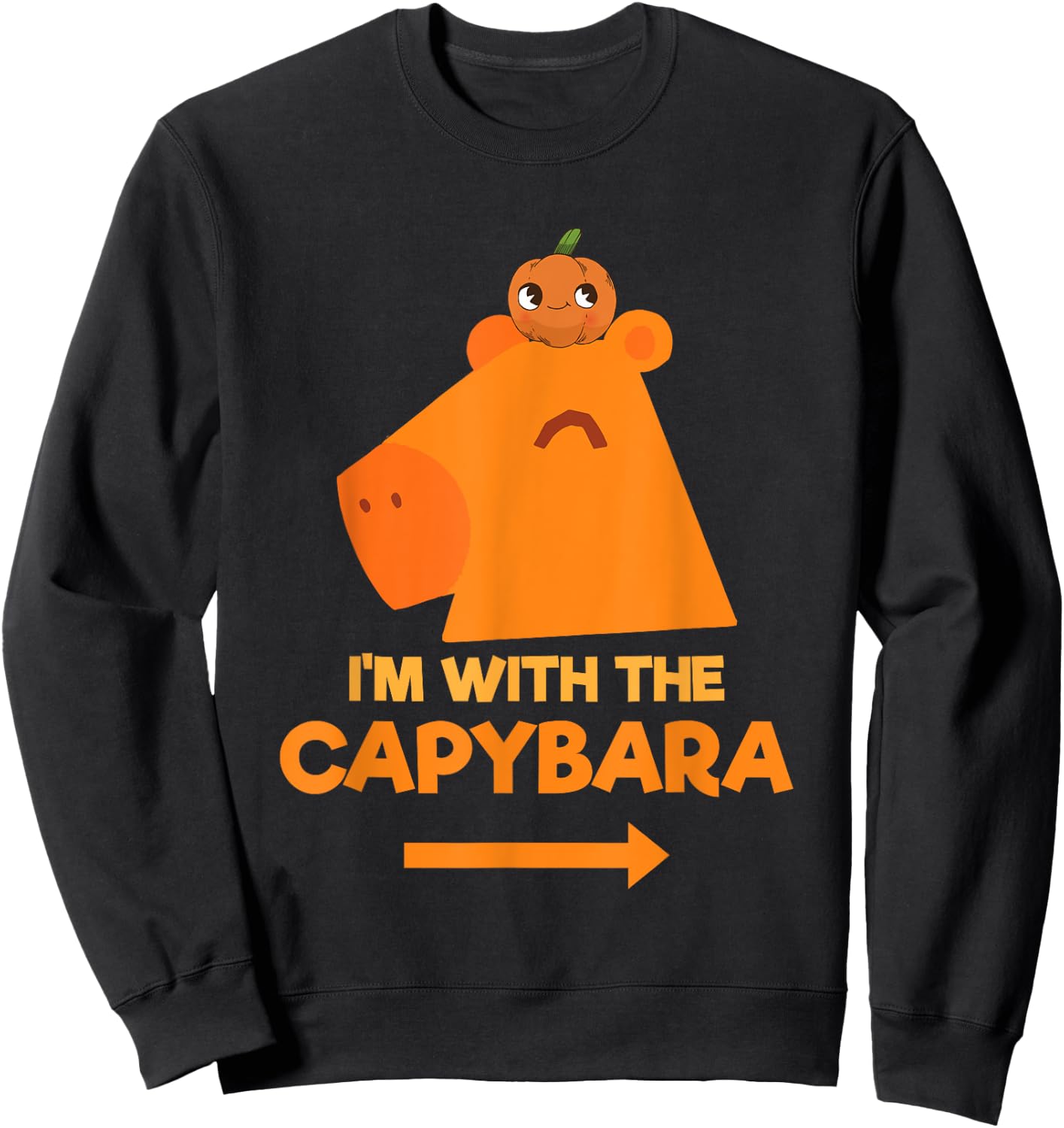 I'm With The Capybara Capy Animal Lover Lazy Halloween Sweatshirt - Sweatshirt | Black