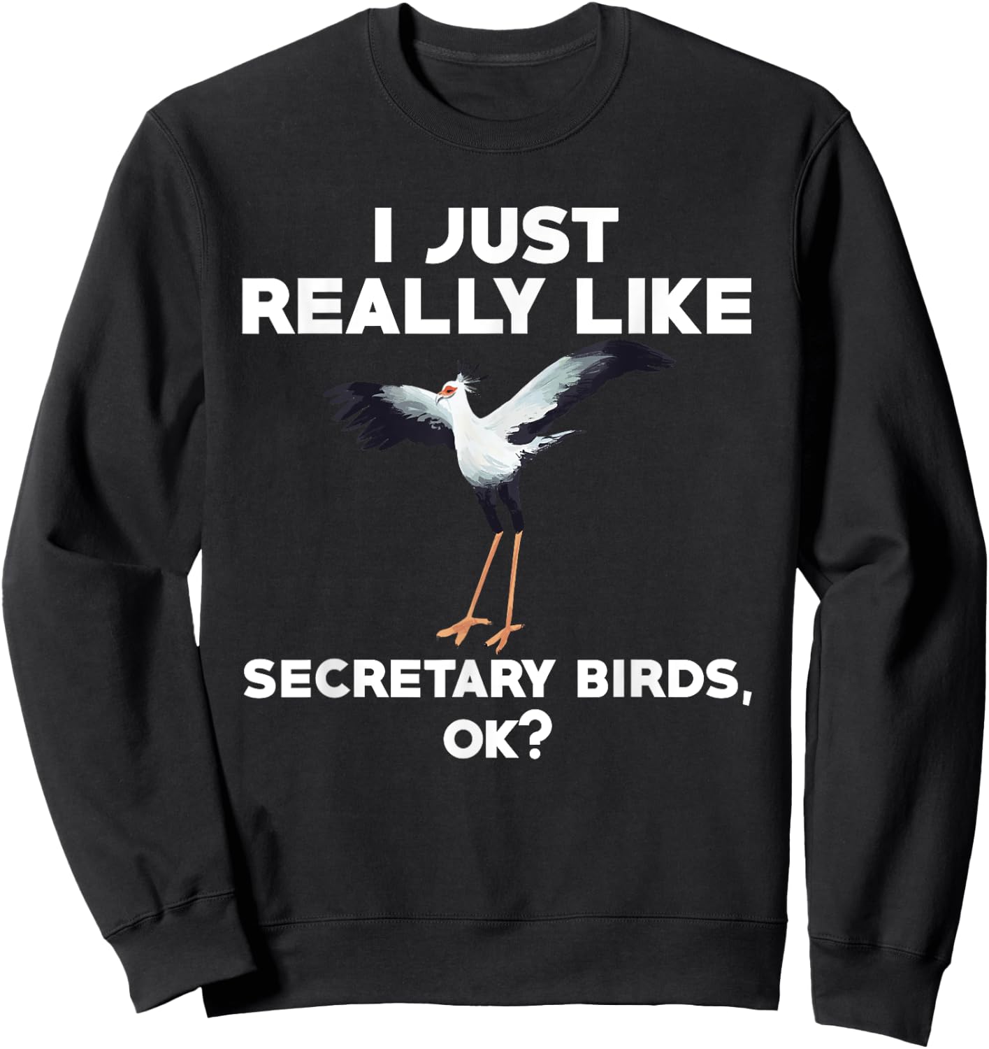Funny Secretary Bird Saying Bird Watching Birding Sweatshirt - Sweatshirt | Black