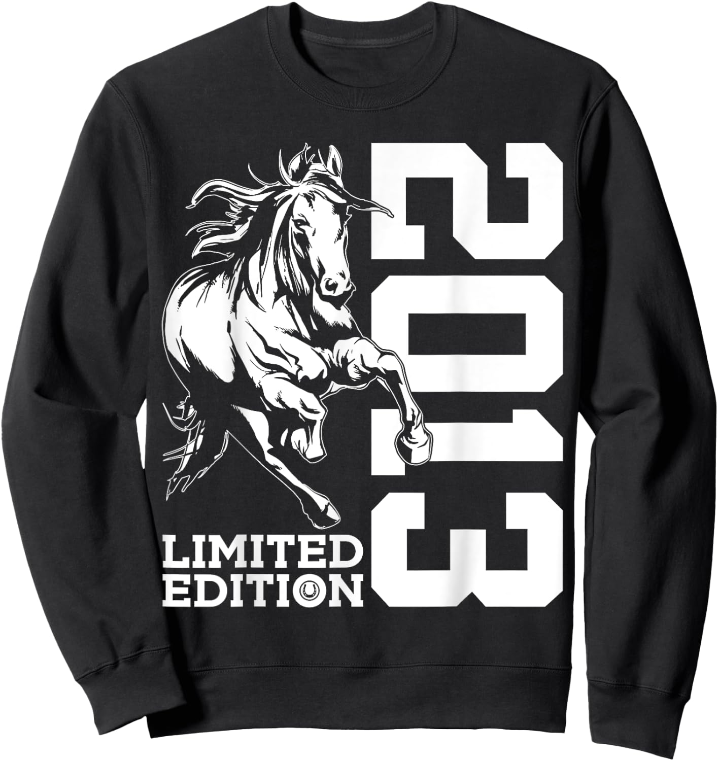 Riding 12th Birthday Horse Limited Edition 2013 Rider Sweatshirt - Sweatshirt | Black