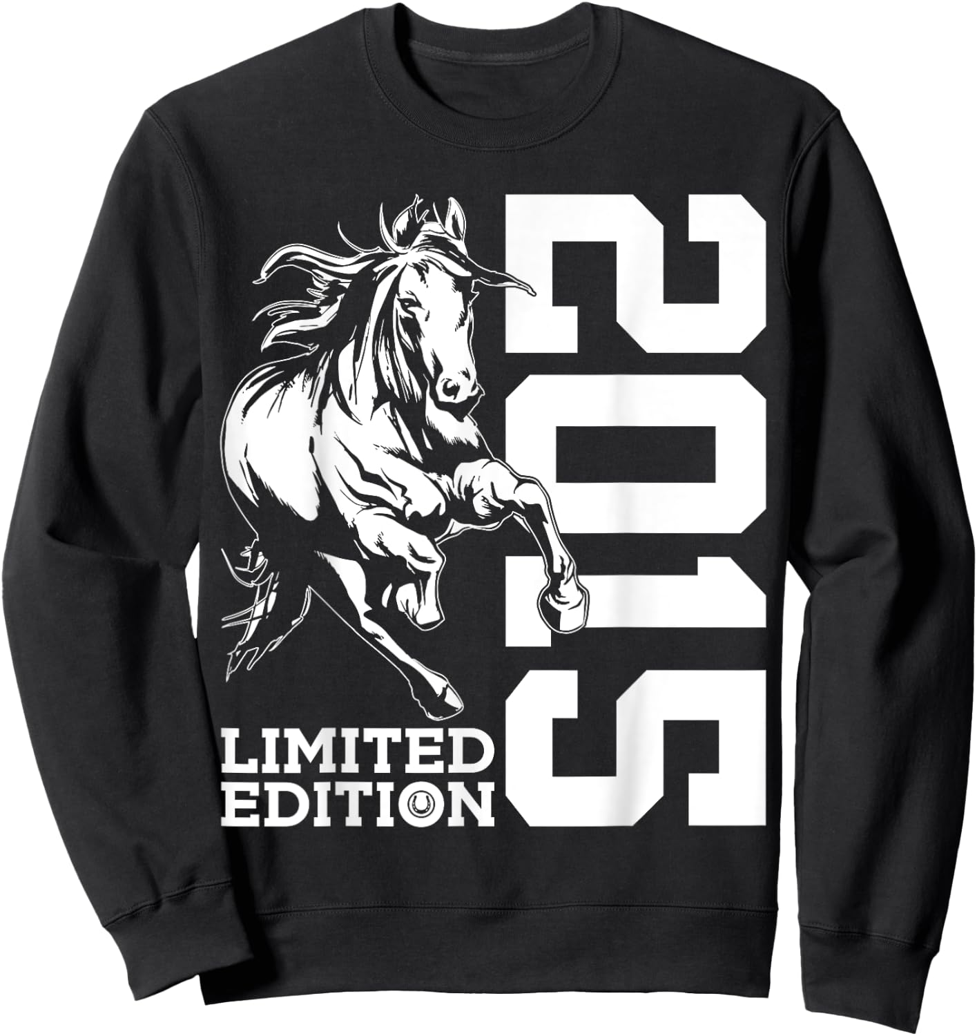 Riding 10th Birthday Horse Limited Edition 2015 Rider Sweatshirt - Sweatshirt | Black