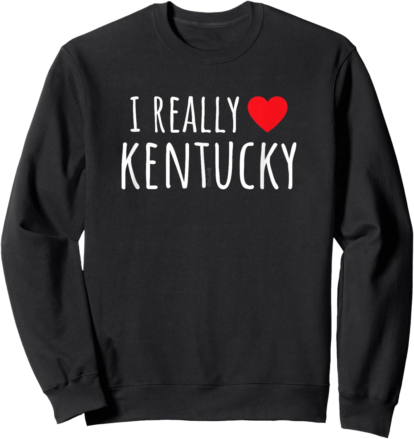 I REALLY LOVE (HEART) KENTUCKY Funny US State Sweatshirt - Sweatshirt | Black