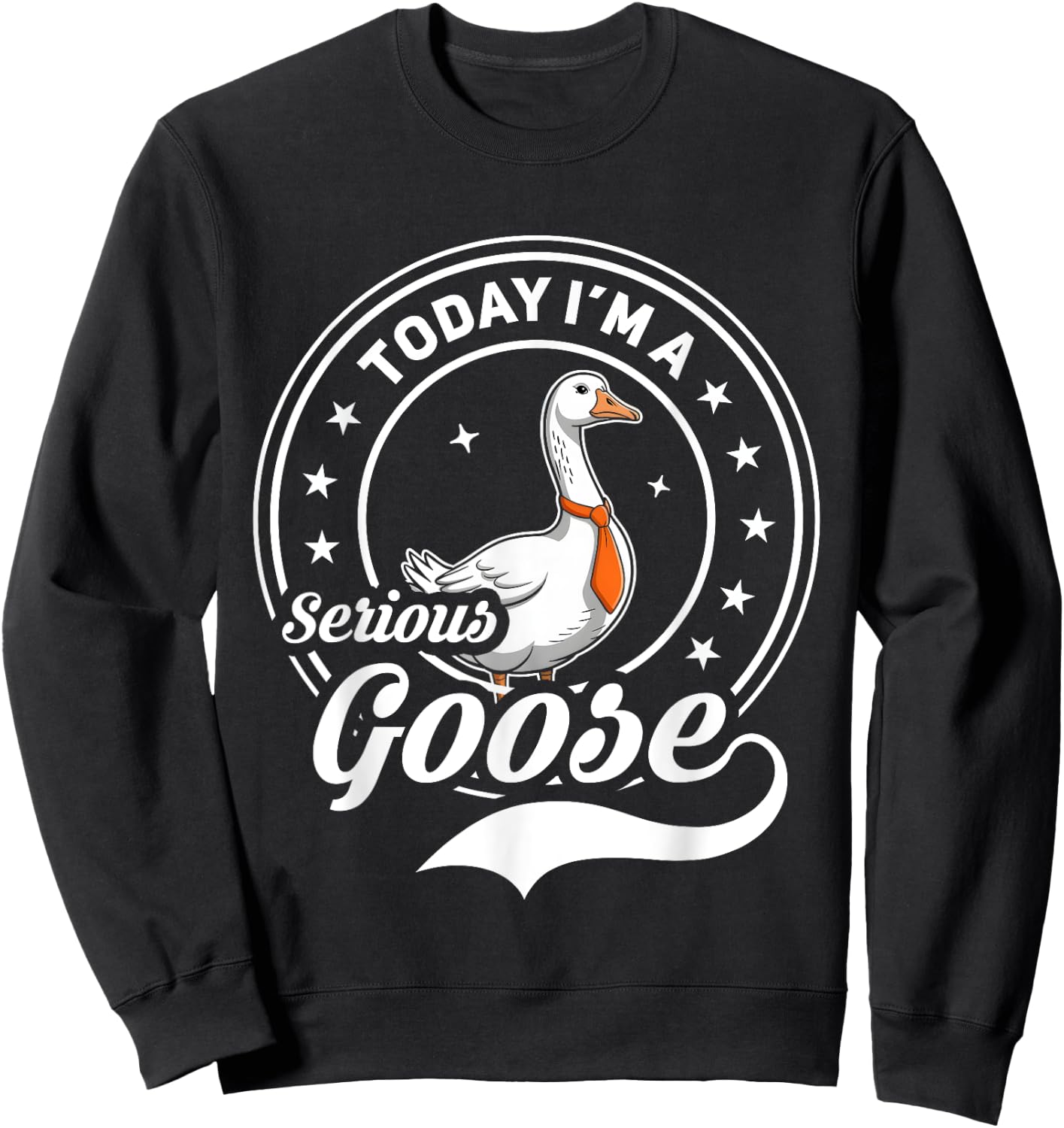 Today I'm A Serious Goose Funny Goose Meme Sweatshirt - Sweatshirt | Black