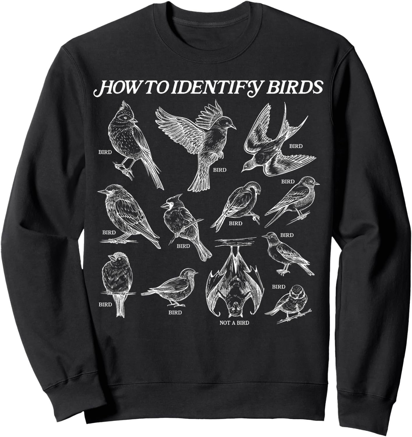 How to Identify Birds Sweatshirt - Sweatshirt | Black