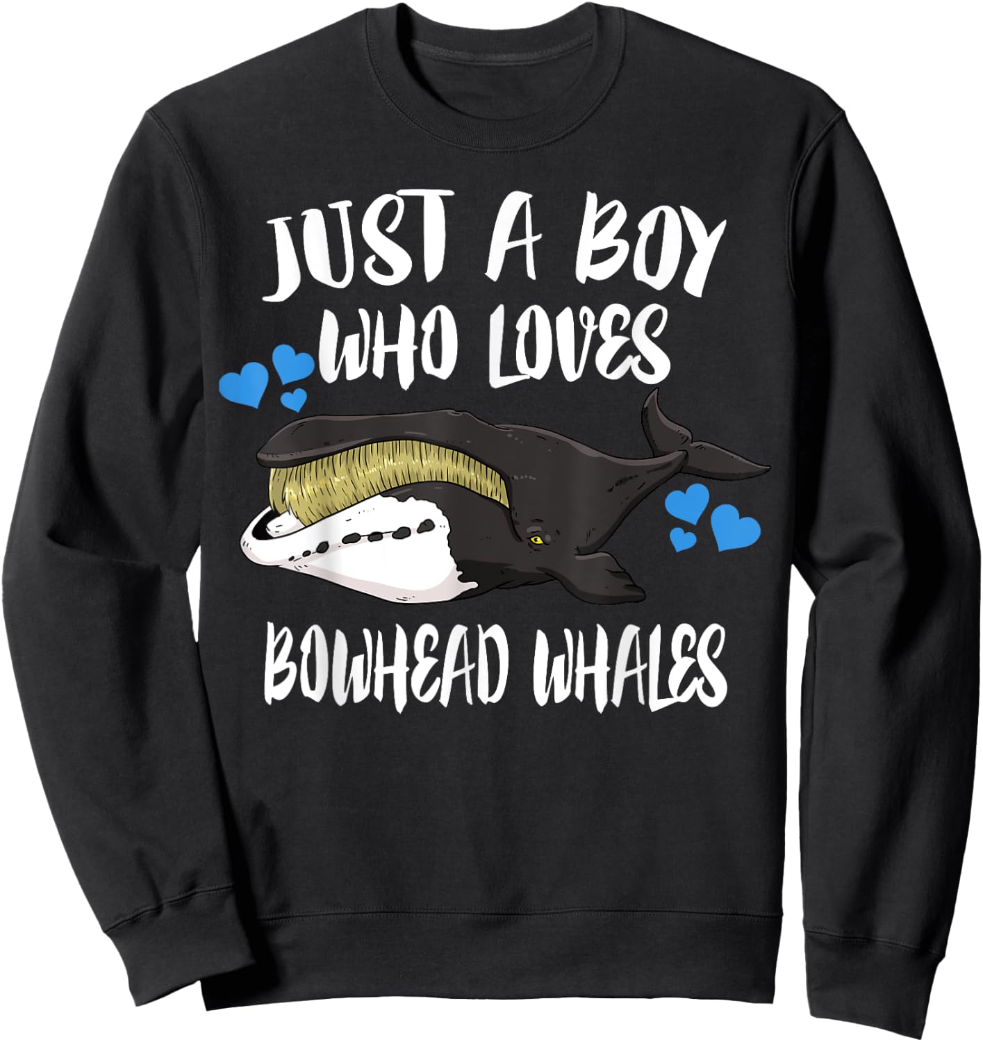 Just A Boy Who Loves Bowhead Whales Sweatshirt - Sweatshirt | Black