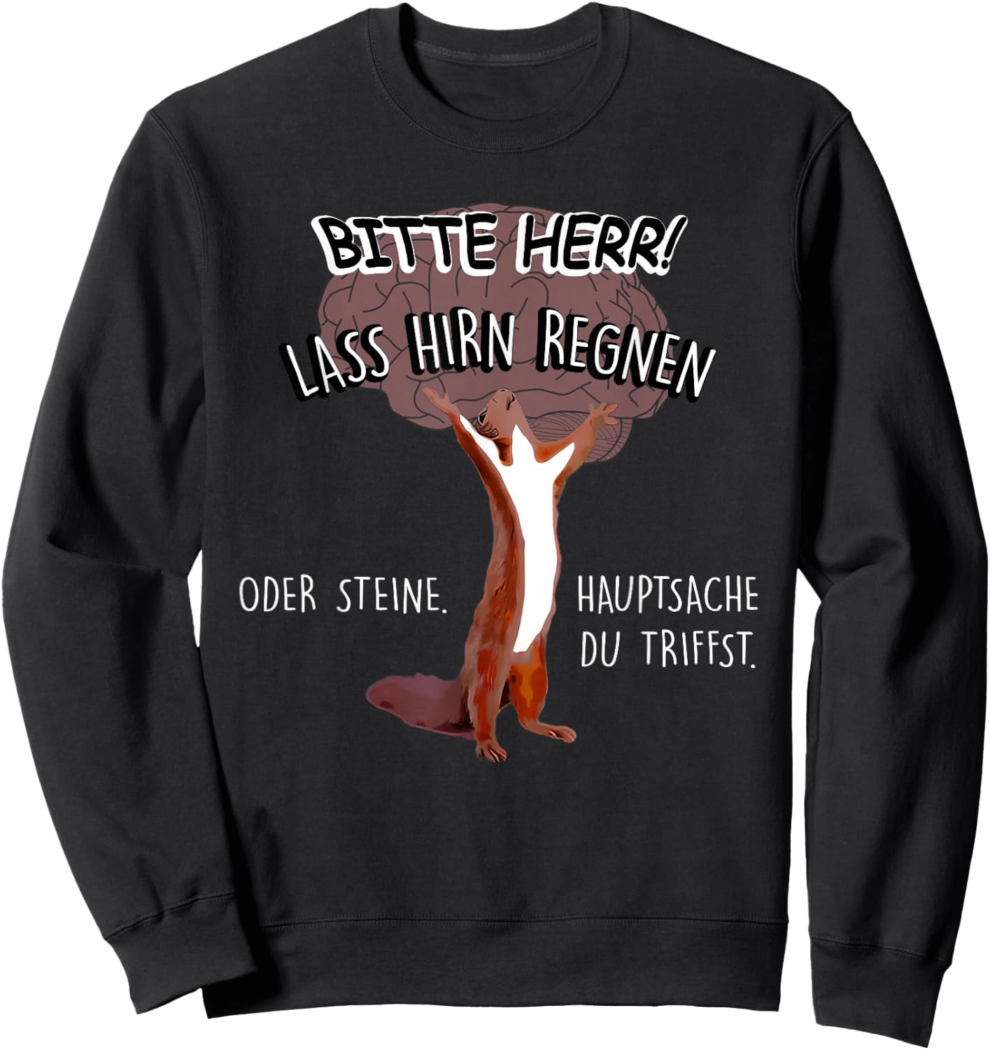 Bitte Herr Lass Hirn Regnen Oder Steine Hauptsache Sweatshirt - Sweatshirt | Black