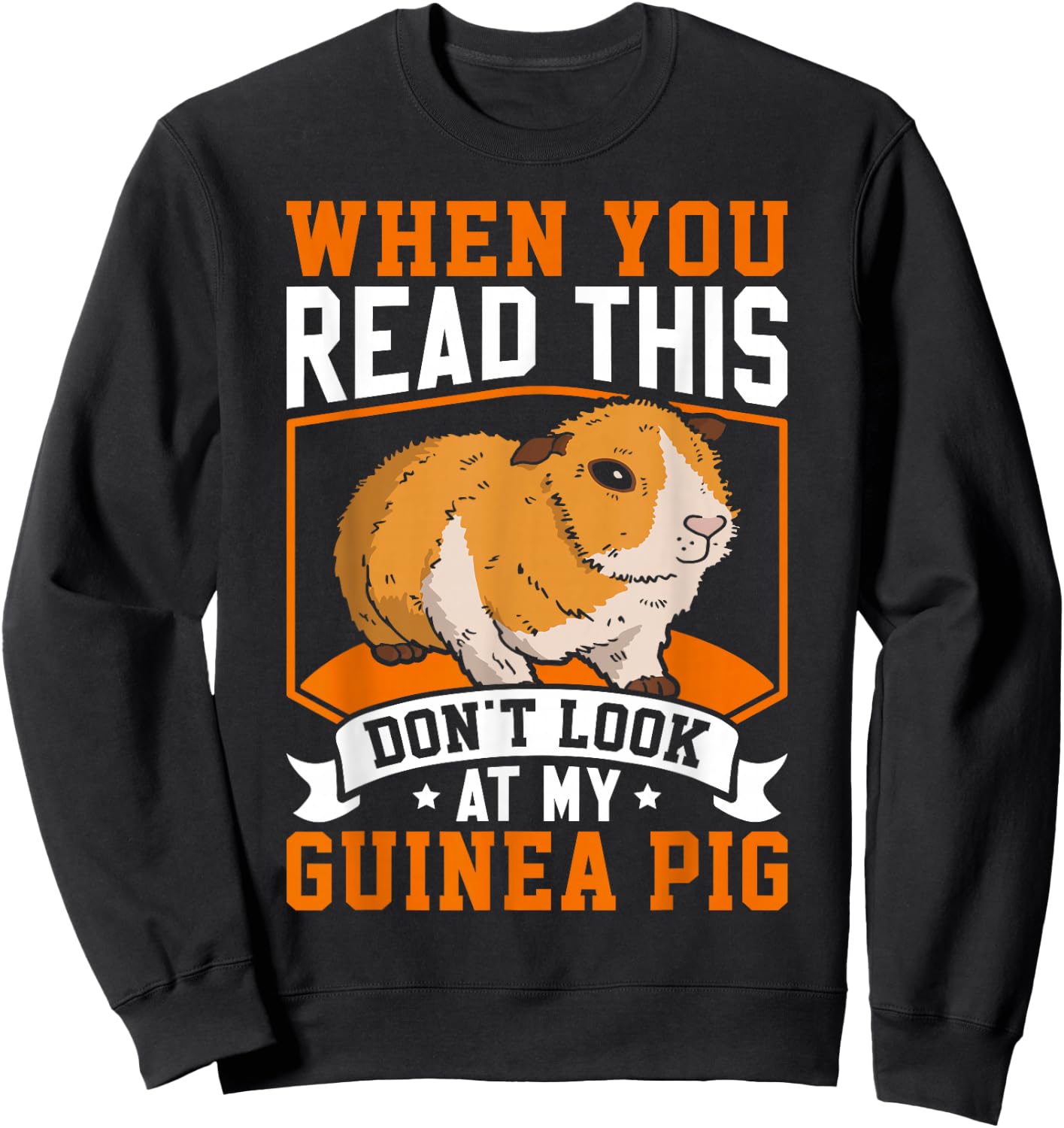 When You Read This Don't Look At My Guinea Pig Sweatshirt - Sweatshirt | Black