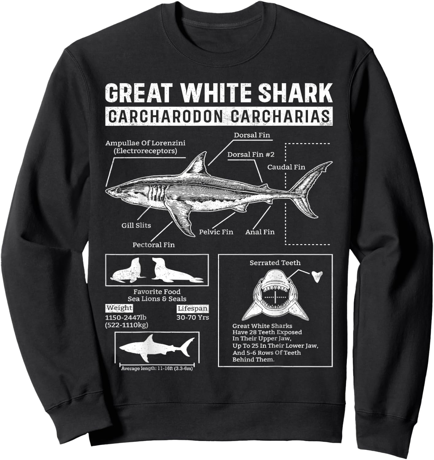 Vintage Great White Shark Anatomy Lover Marine Biologist Sweatshirt - Sweatshirt | Black
