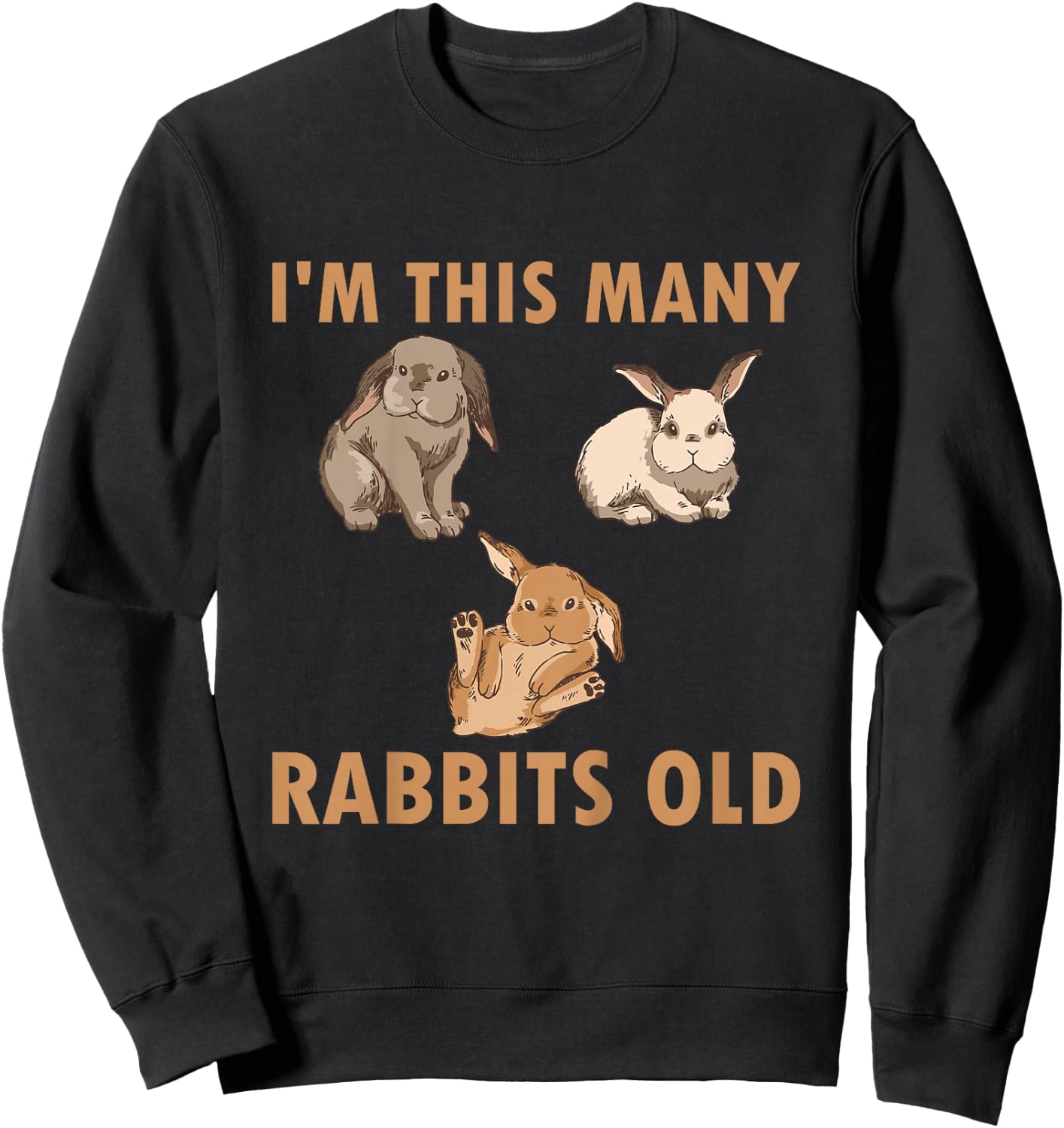 Kids 3 Year Old Bunny Rabbits Old 3rd Birthday Sweatshirt - Sweatshirt | Black