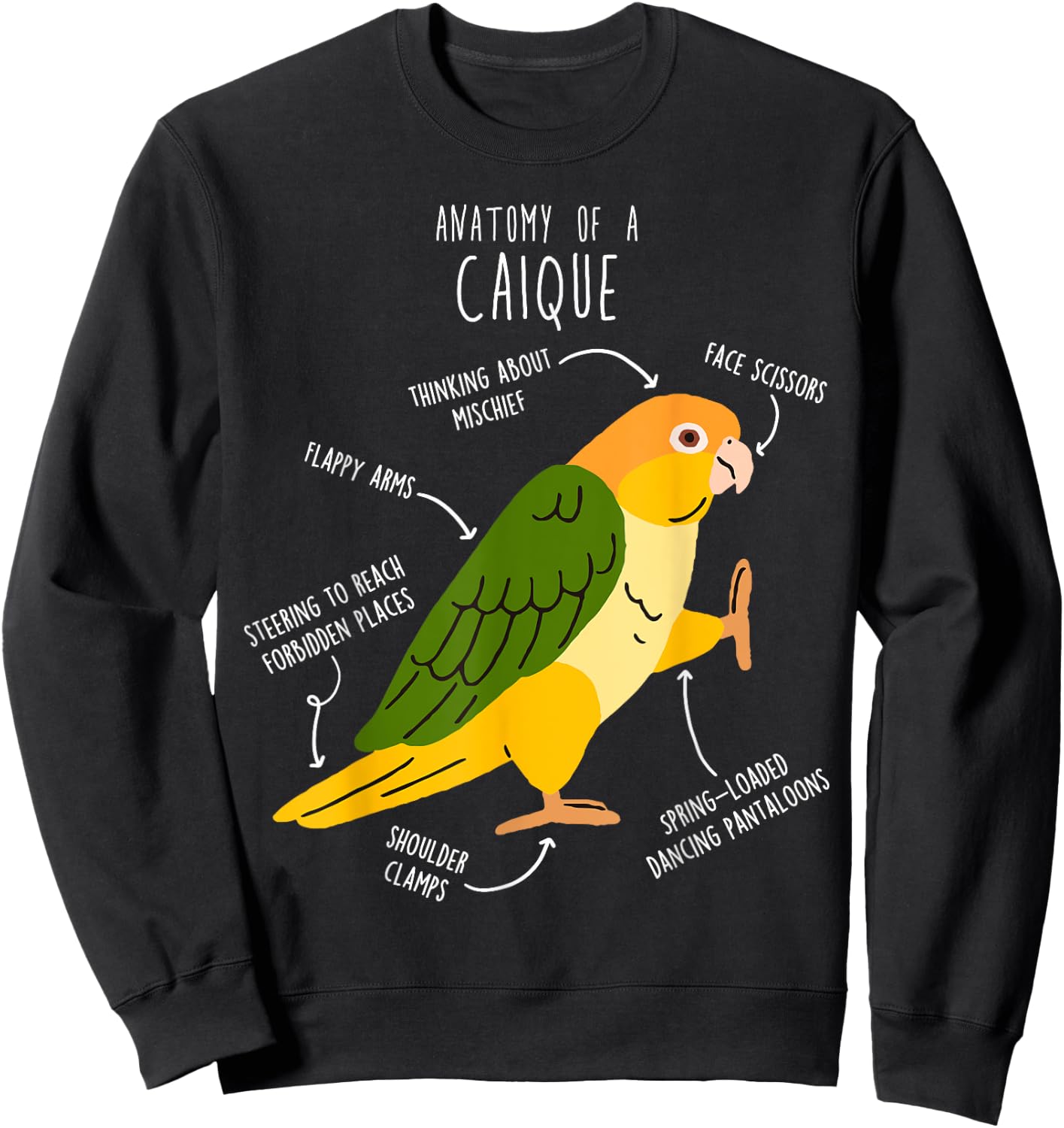 White-bellied Caique Parrot Anatomy, Funny Cute Pet Bird Mom Sweatshirt - Sweatshirt | Black