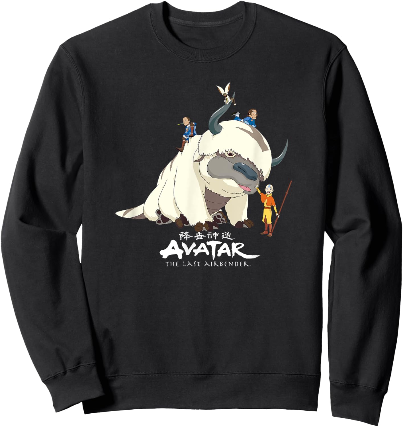 Avatar: The Last Airbender Team Avatar Group Shot Distressed Sweatshirt - Sweatshirt | Black