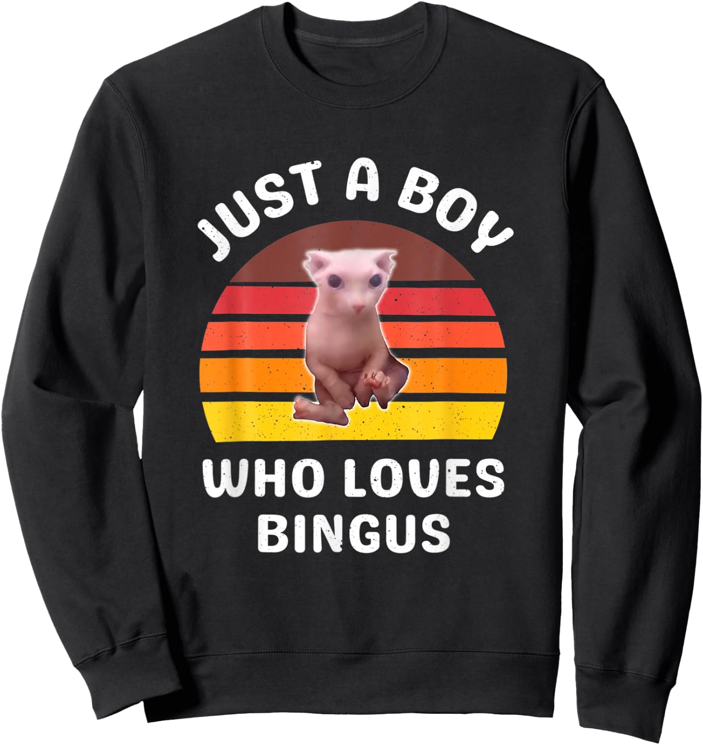 Just A Boy Who Loves Bingus Funny Hairless Sphynx Cat Sweatshirt - Sweatshirt | Black