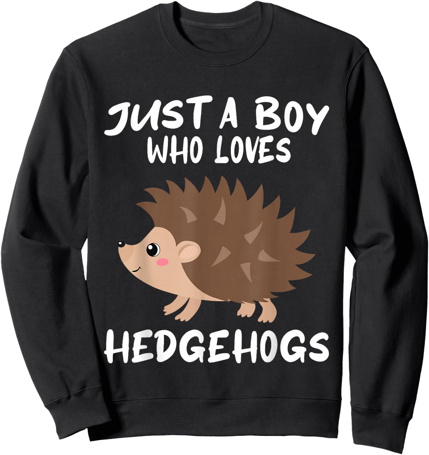 Just A Boy Who Loves Hedgehogs - Funny Hedgehog Lover Sweatshirt - Sweatshirt | Black