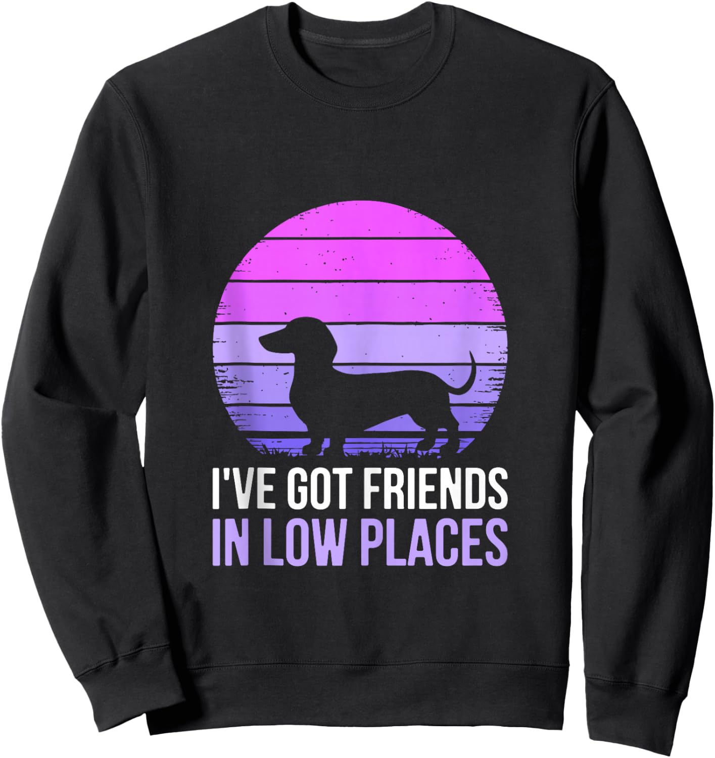 I've Got Friends In Low Places Shirt Dachshund Dog Lover Sweatshirt - Sweatshirt | Black