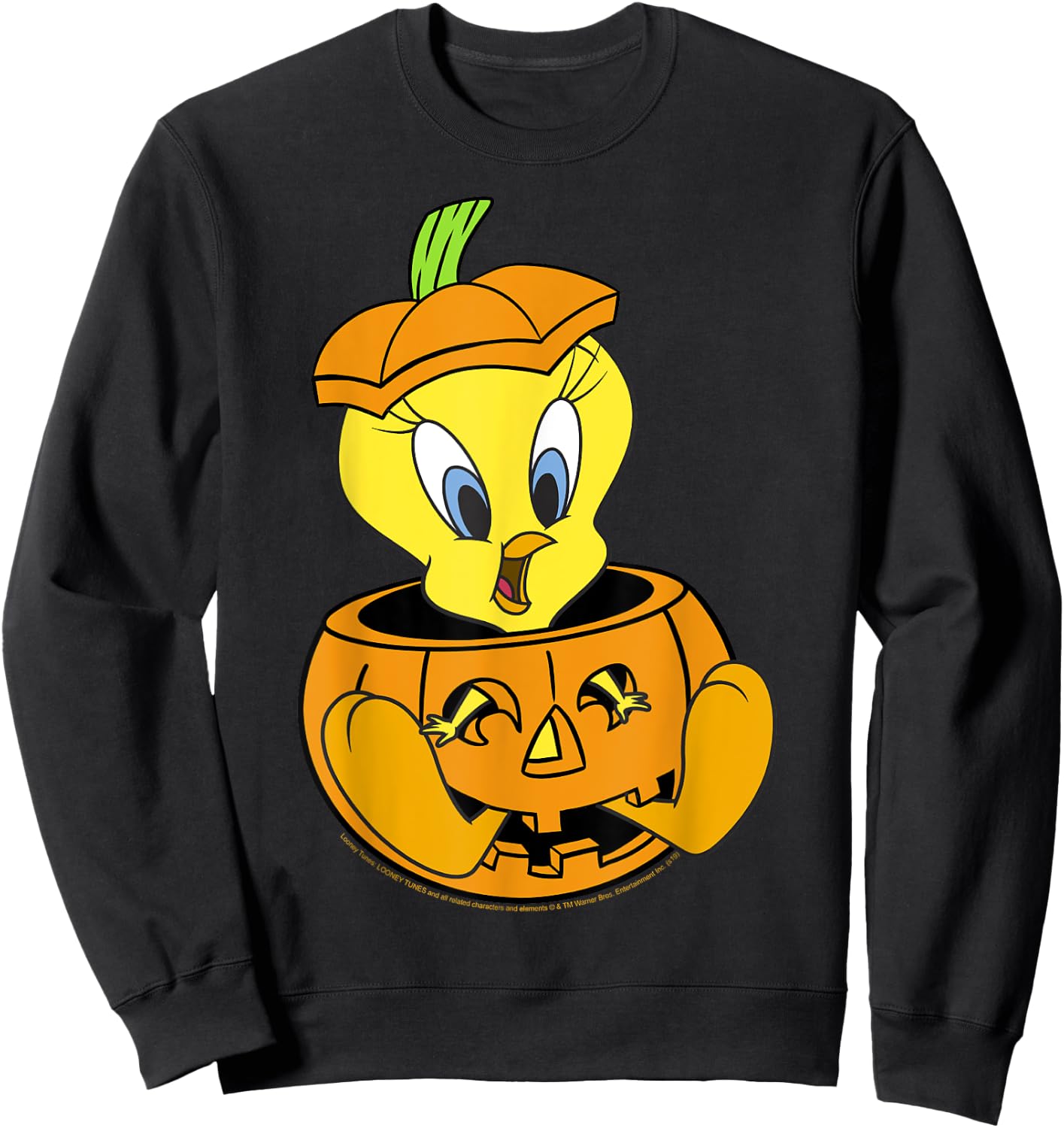 Looney Tunes Halloween Tweety Bird Pumpkin Sweatshirt - Sweatshirt | Black