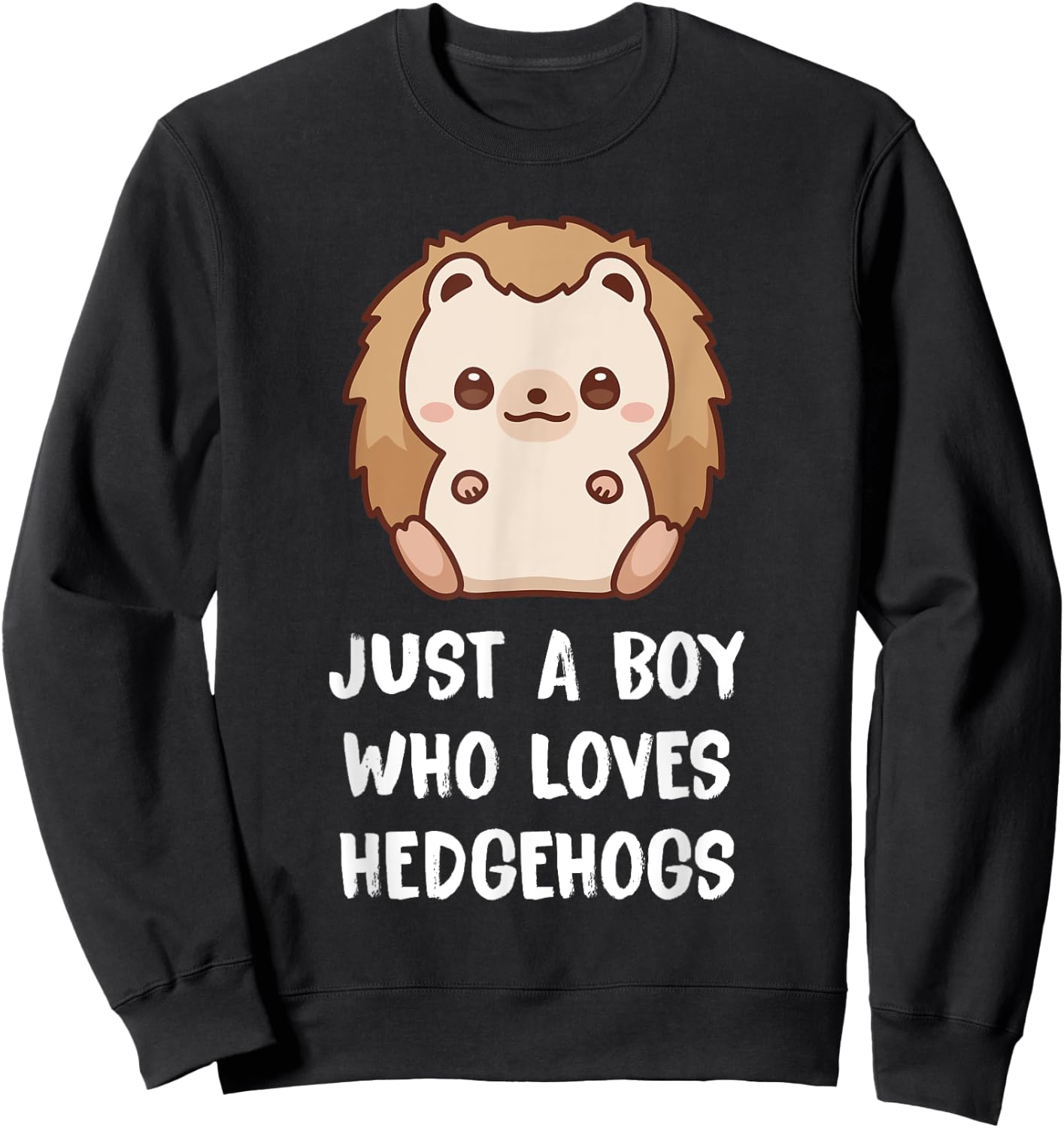 Just A Boy Who Loves Hedgehogs Sweatshirt - Sweatshirt | Black