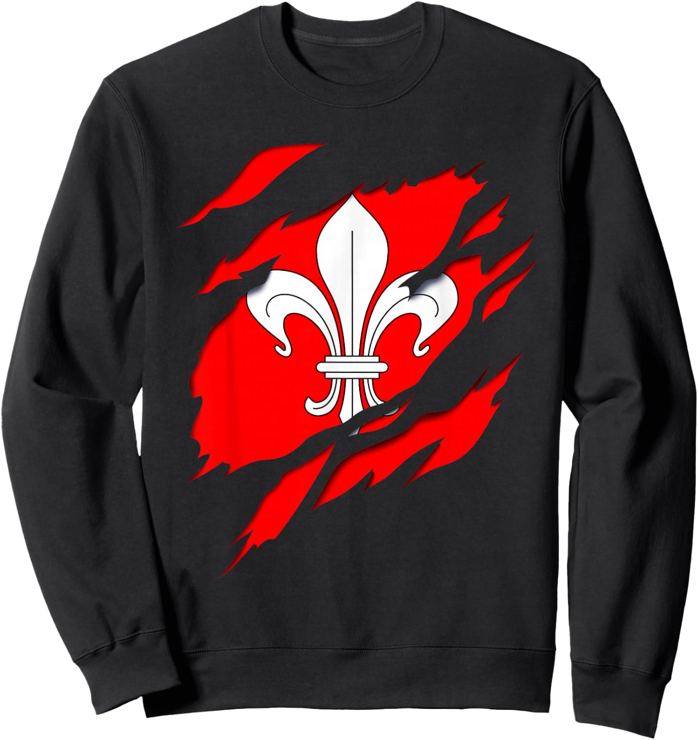 Flag Lille Coat of Arms torn with 3D effect. France Sweatshirt - Sweatshirt | Black