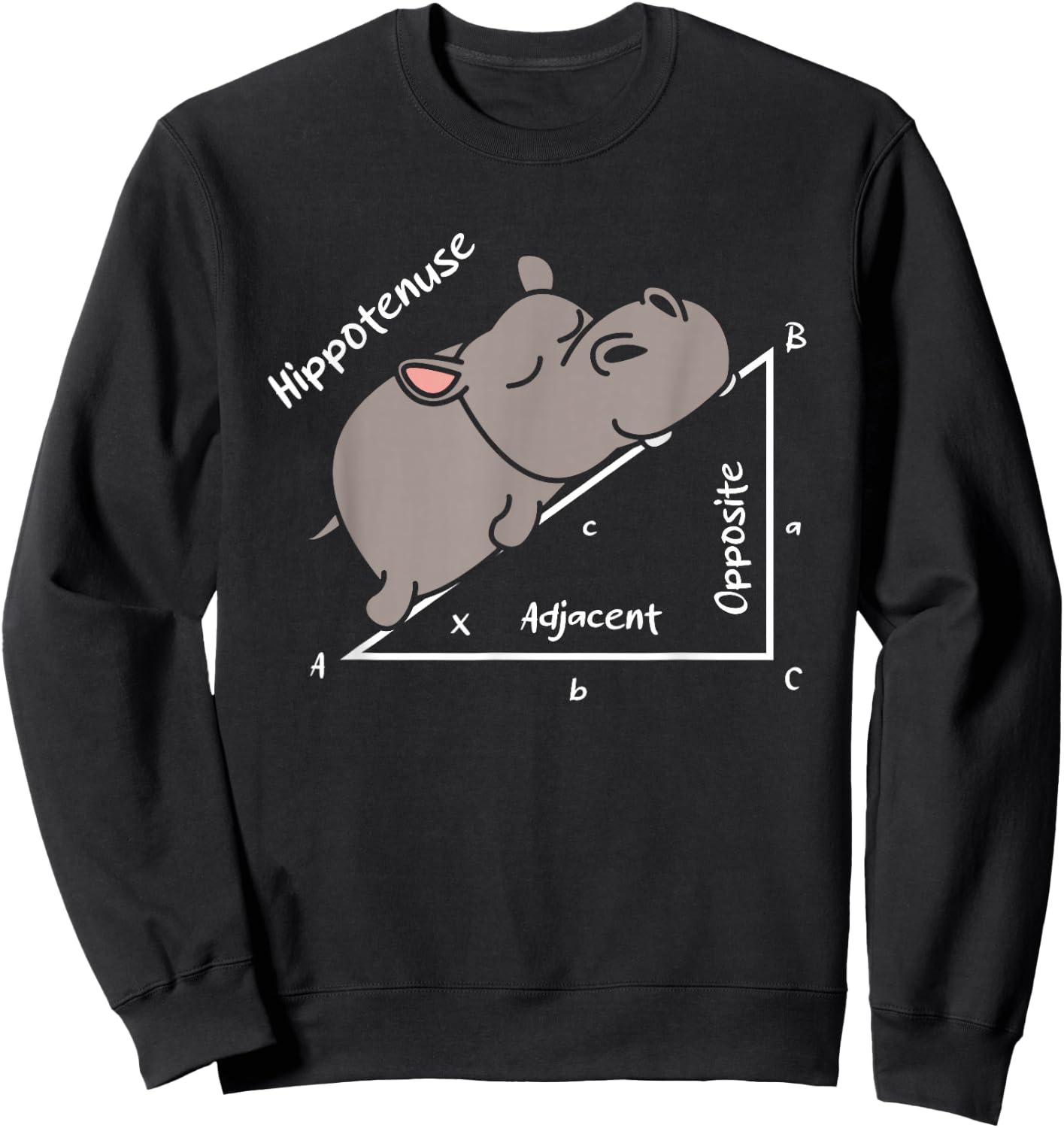 Hippotenuse Hippo Angle Function Hypotenuse Math Teacher Sweatshirt - Sweatshirt | Black
