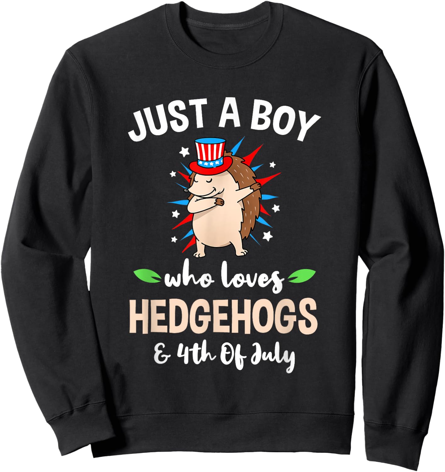 Just A Boy Who Loves Hedgehogs And 4th Of July Sweatshirt - Sweatshirt | Black