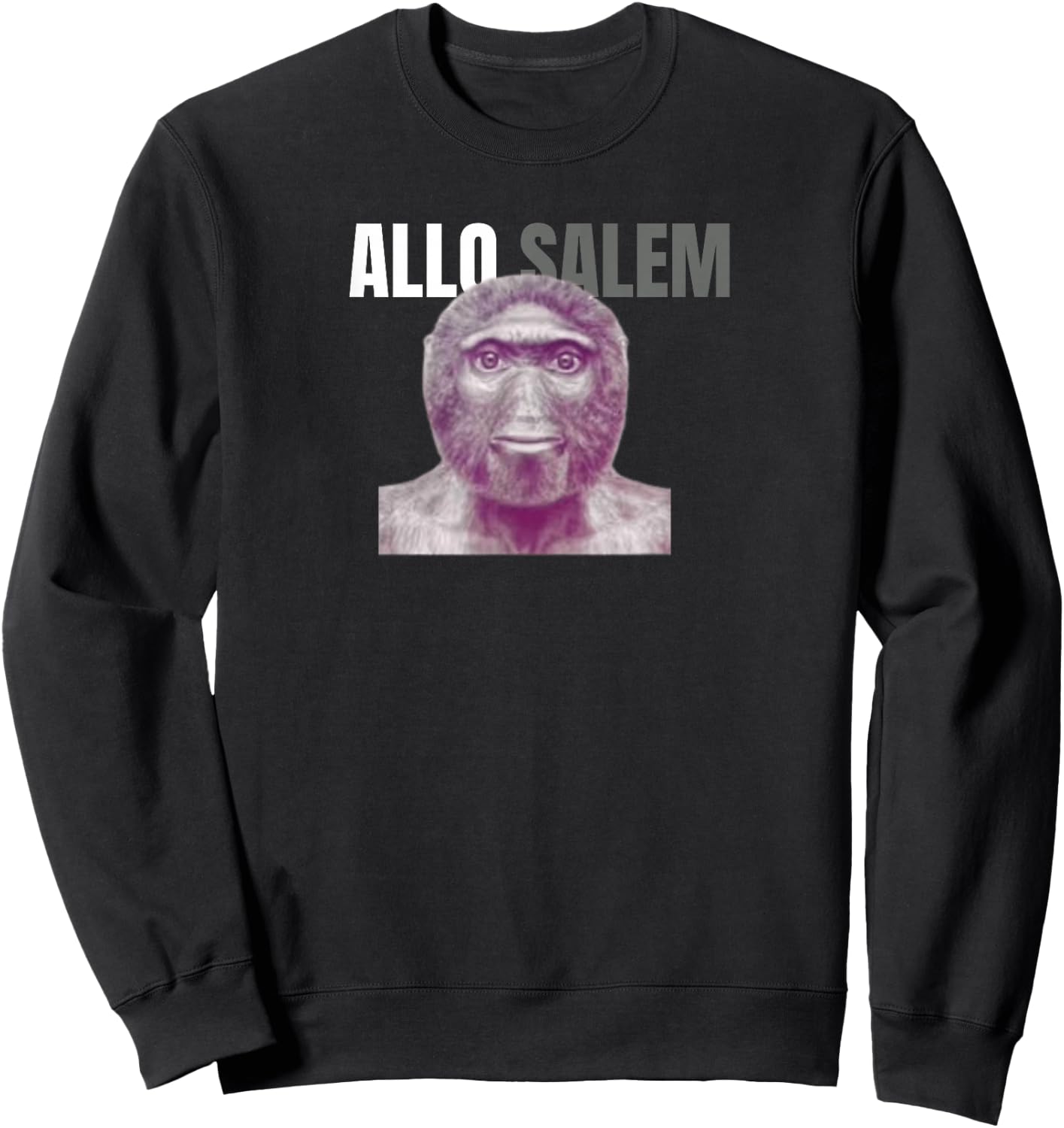 allo salem Humor for College Boys and Girls , Black, S Sweatshirt - Sweatshirt | Black