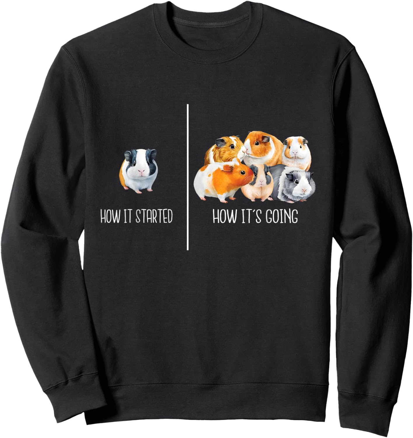 How It Started How It's Going - Guinea Pig Rodent Pet Lover Sweatshirt - Sweatshirt | Black