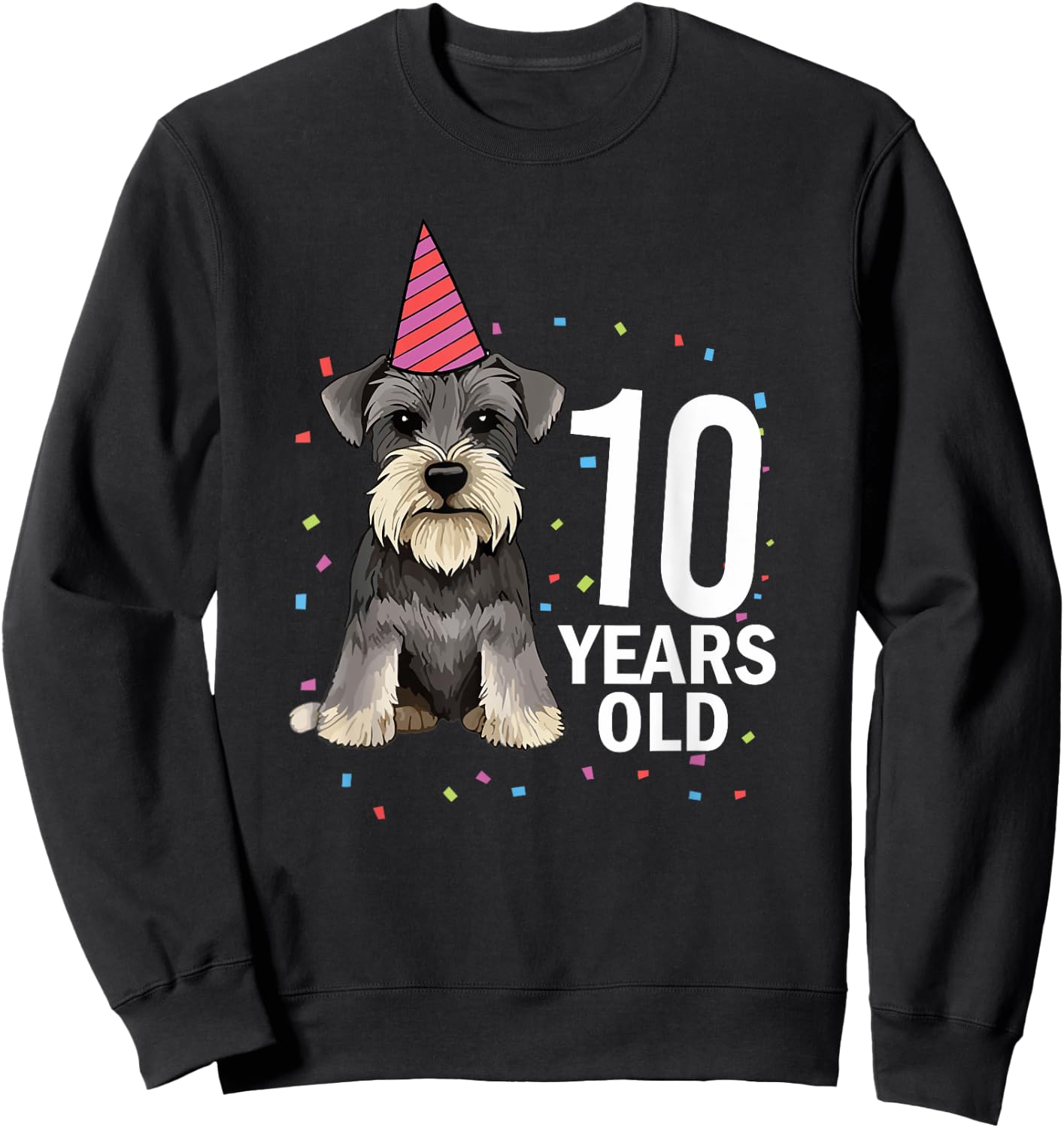 10 Years Old Birthday Schnauzer Dog Lover 10th Party Kid Sweatshirt - Sweatshirt | Black