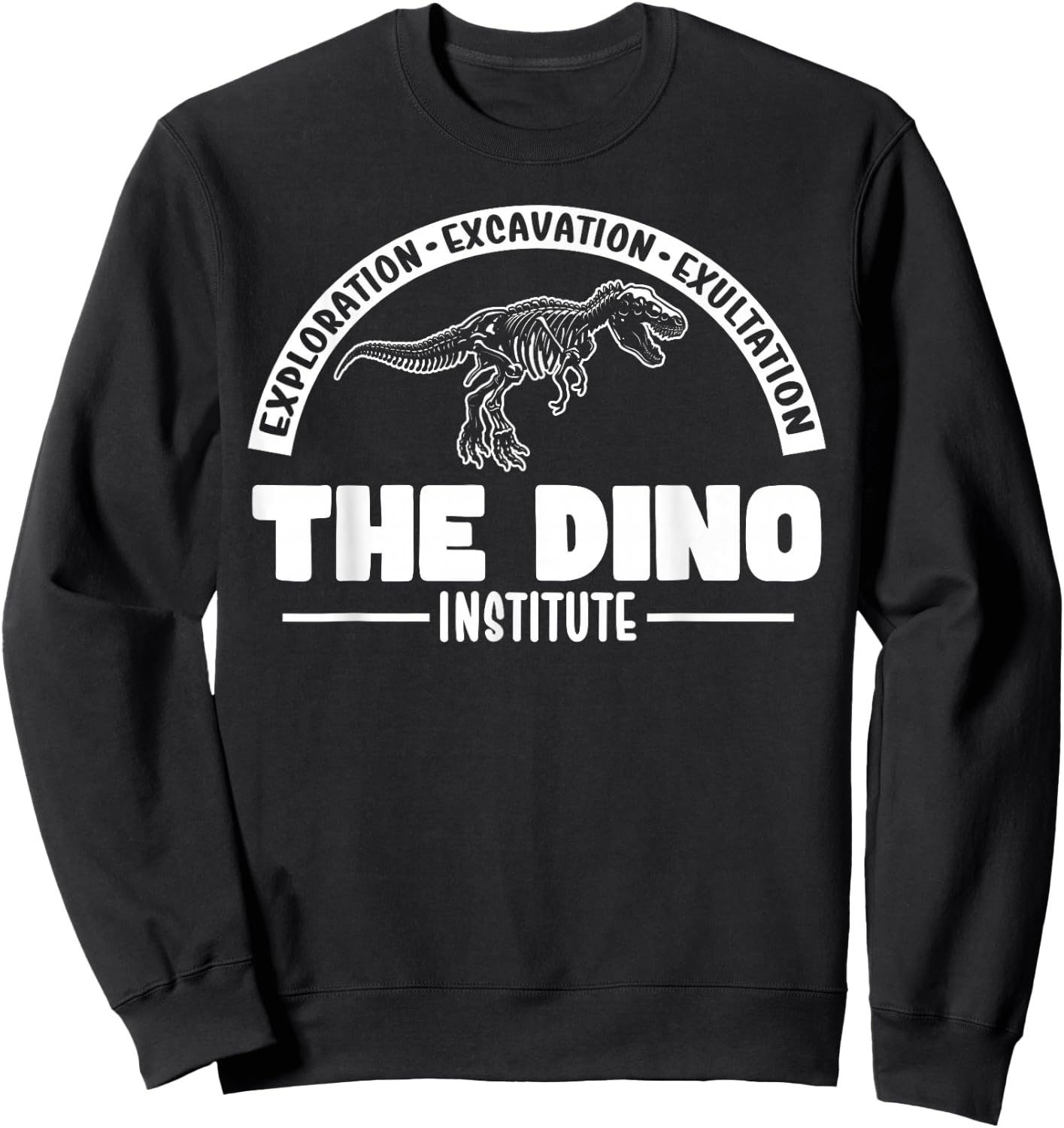Hello There! Lets Go Get That Dino Research Dino Institute Sweatshirt - Sweatshirt | Black