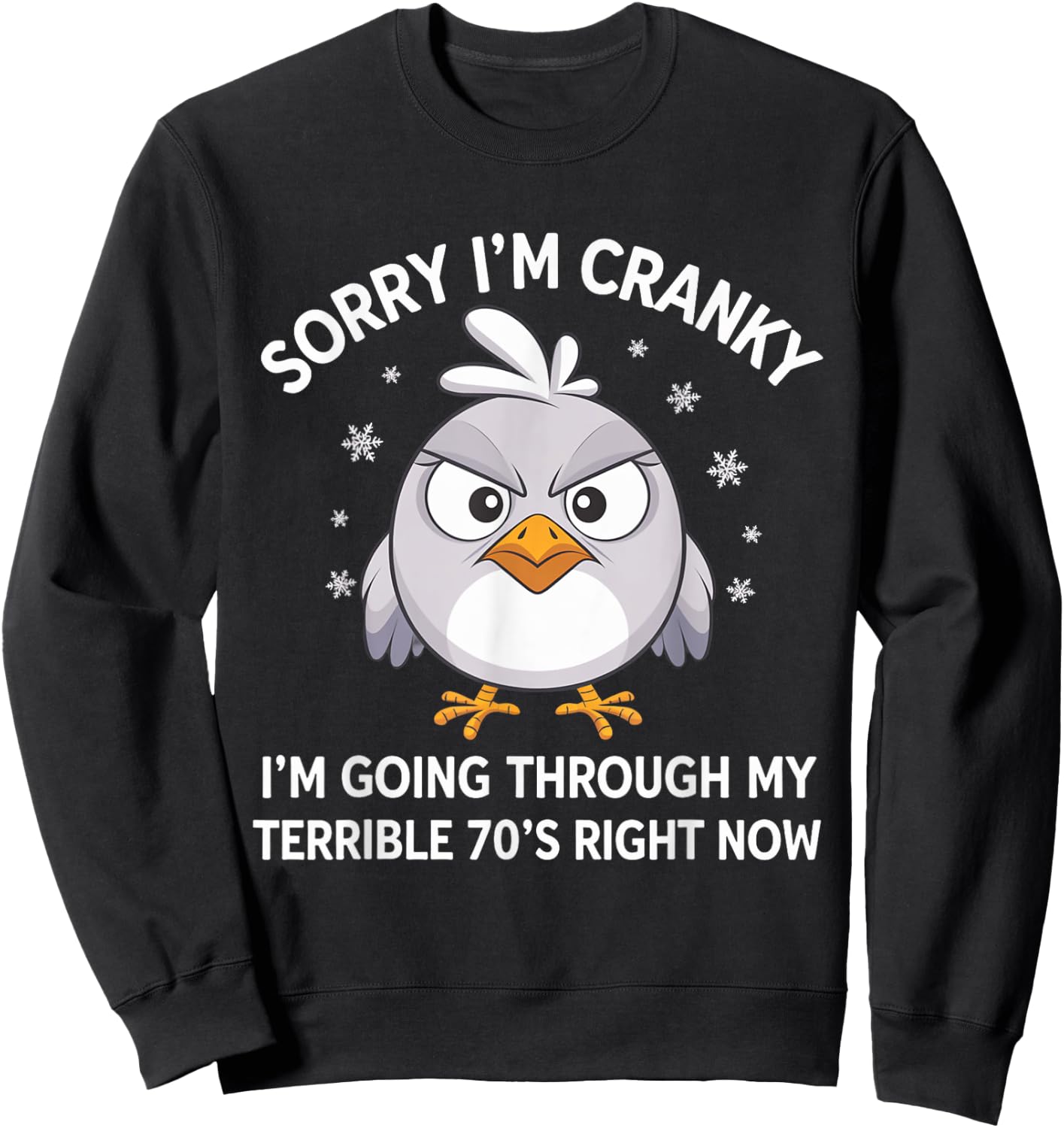 Sorry I'm Cranky I'm Going Through My Terrible 70’s Right Sweatshirt - Sweatshirt | Black