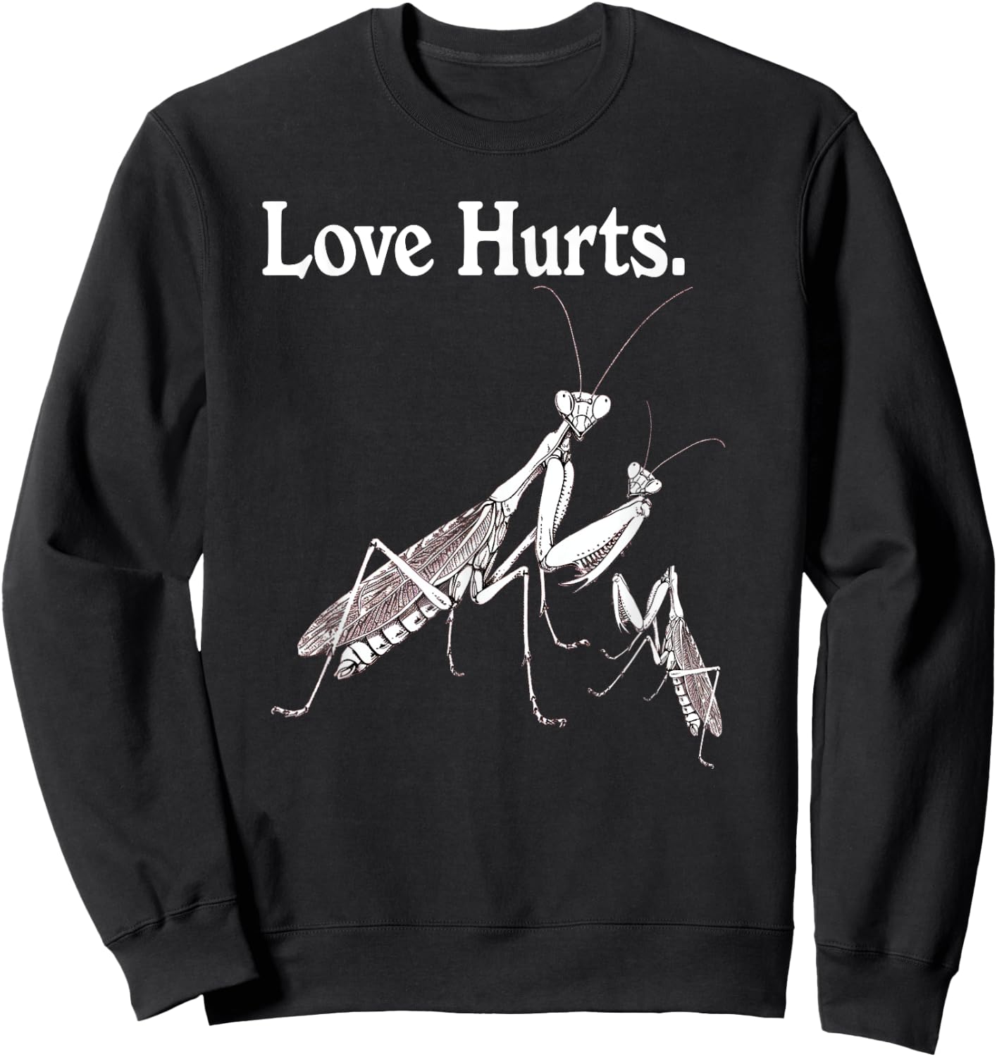 Praying Mantis Family Vintage Love Hurts Sweatshirt - Sweatshirt | Black