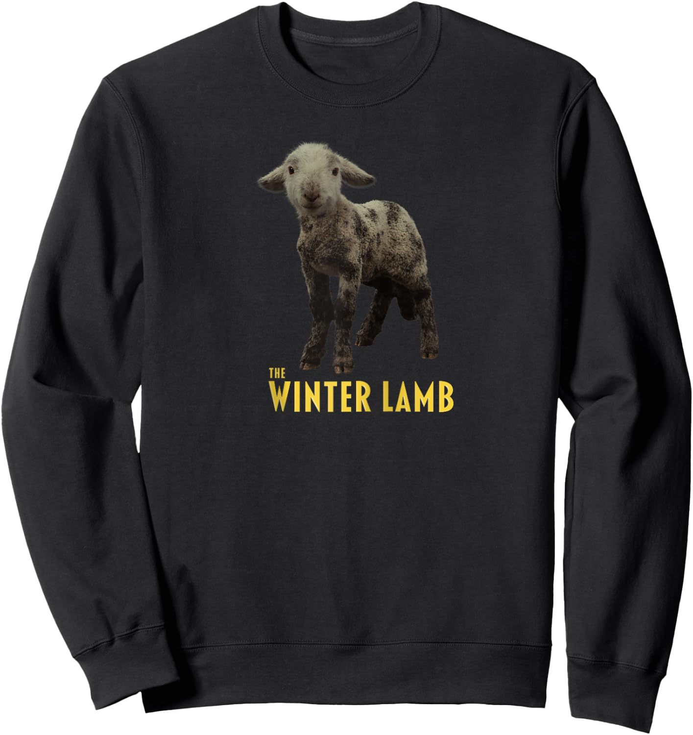 The Winter Lamb Raglan Baseball Sweatshirt - Sweatshirt | Black