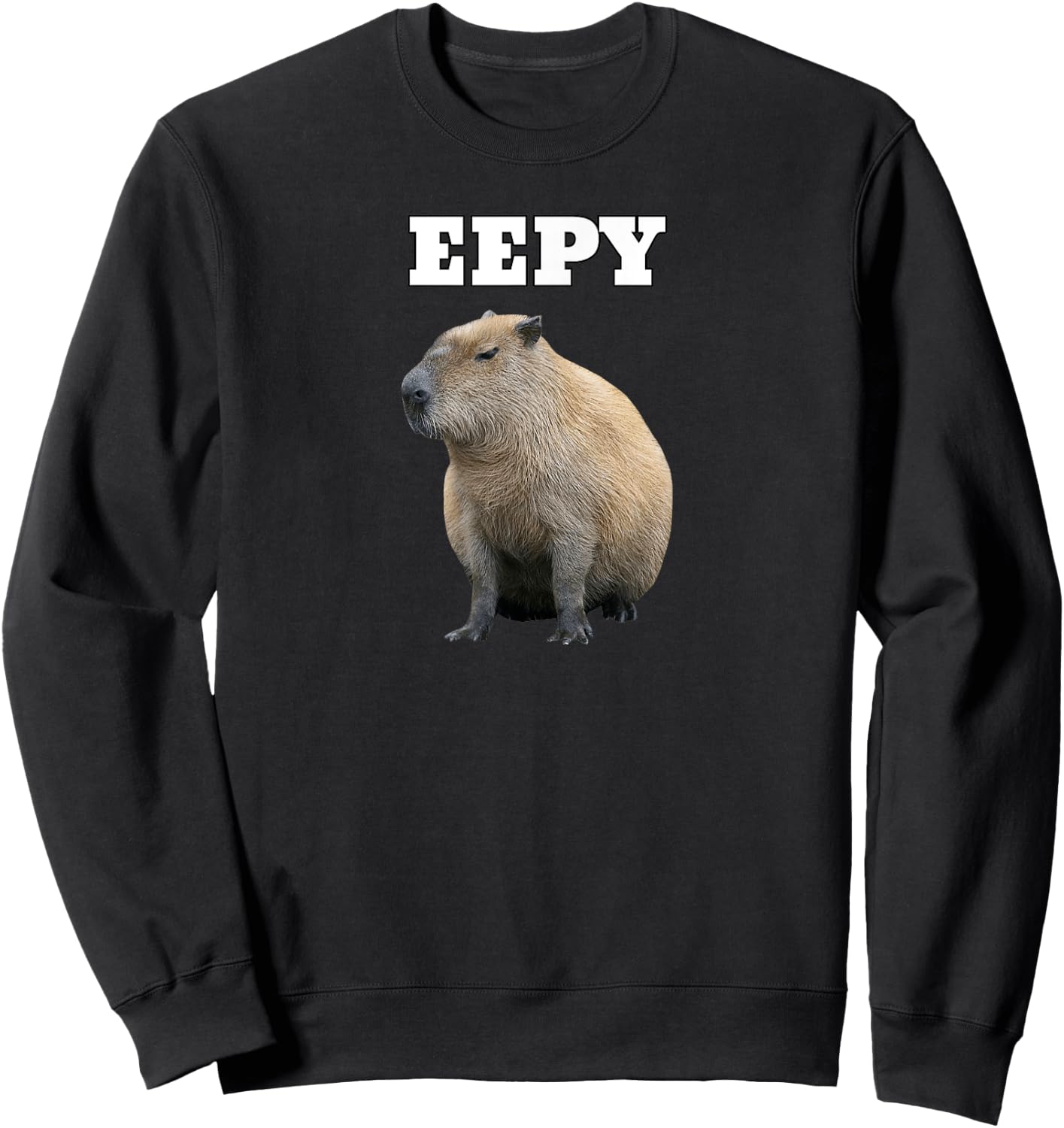 Eepy Capybara, Sleepy Capybara Meme Sweatshirt - Sweatshirt | Black